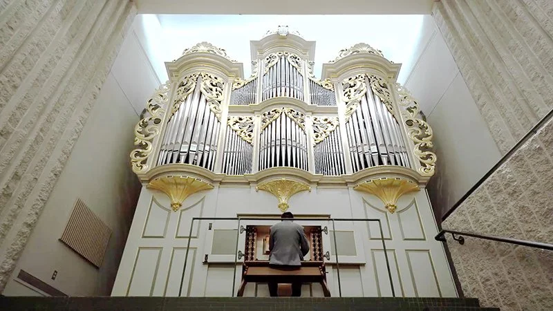 organ.jpg