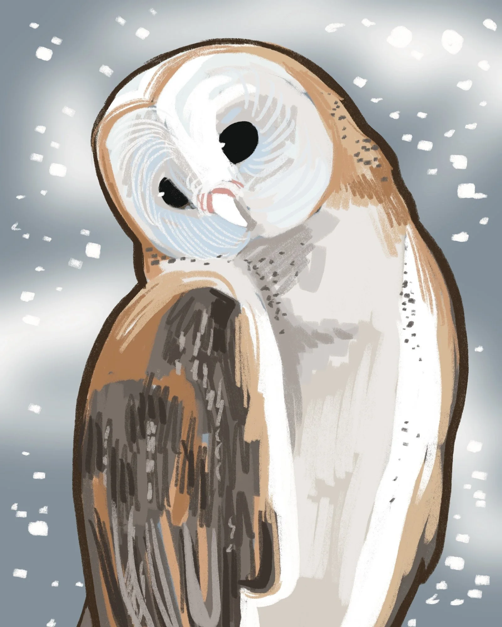 Nurturing Natives- Barn Owl