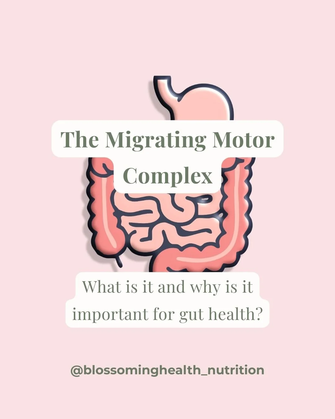 Your digestive system has a natural cleaning cycle that most people have never heard of.

It&rsquo;s called the Migrating Motor Complex (MMC) and is responsible for the motility of our stomach and small intestine. 

The MMC acts like a sweeping wave 
