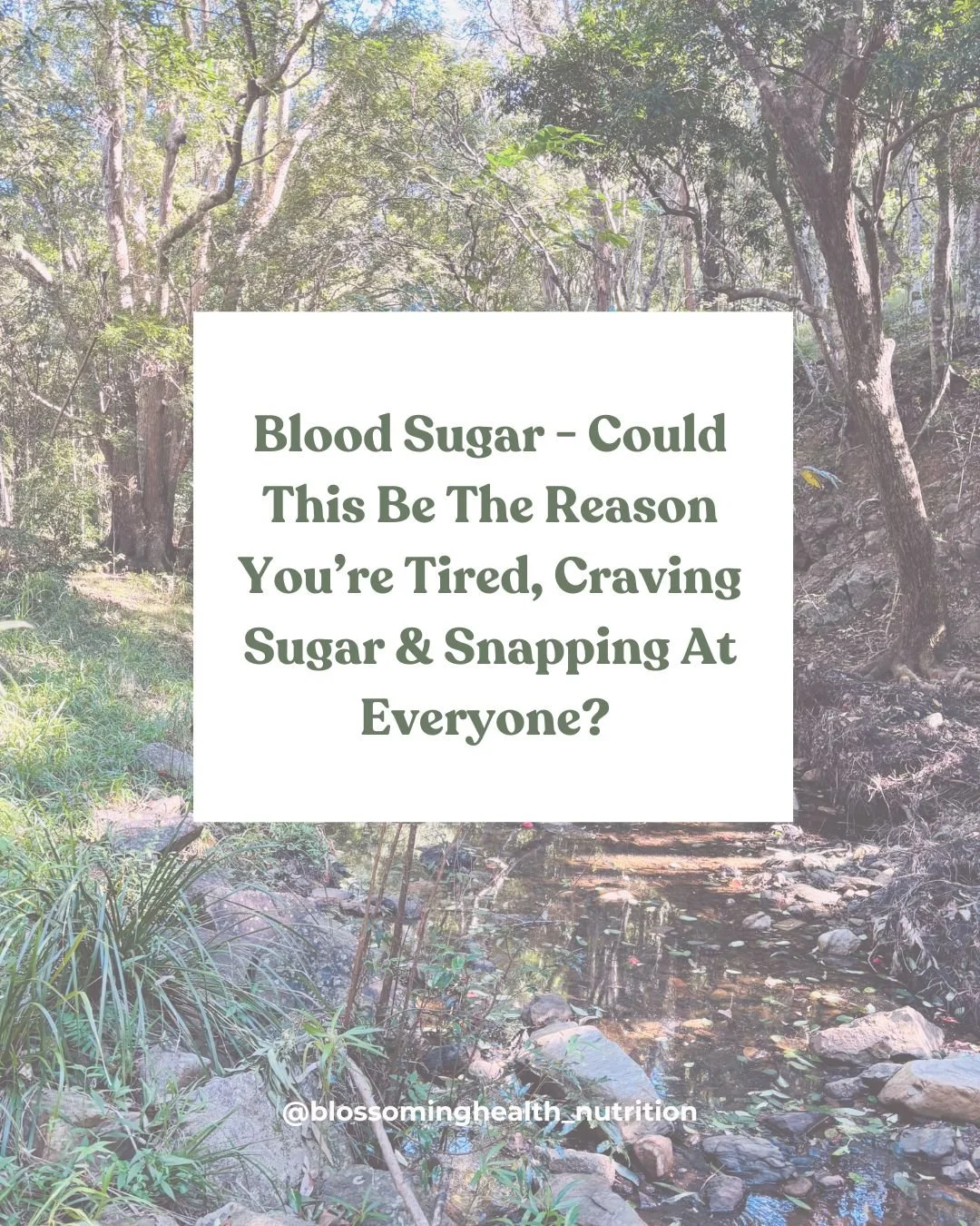 Are you struggling with afternoon energy crashes, food cravings or mood swings and wondering why? 

Many women think they need more willpower&hellip;when they may actually need more protein and blood sugar support.

Could your blood sugar be playing 