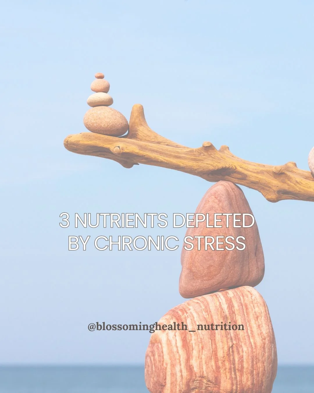 Feeling stressed, overwhelmed or running on empty?

Stress doesn't just affect your mind - it can also increase your body's demand for key nutrients.

Three nutrients commonly depleted during periods of chronic stress include:
🥬 Magnesium &ndash; su