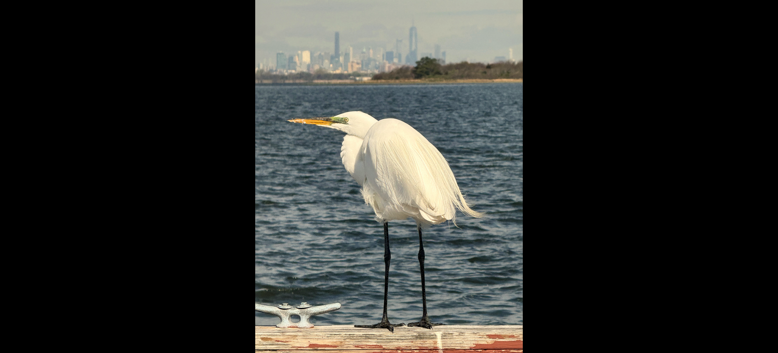 Edgar and NYC. April 20, 2026.