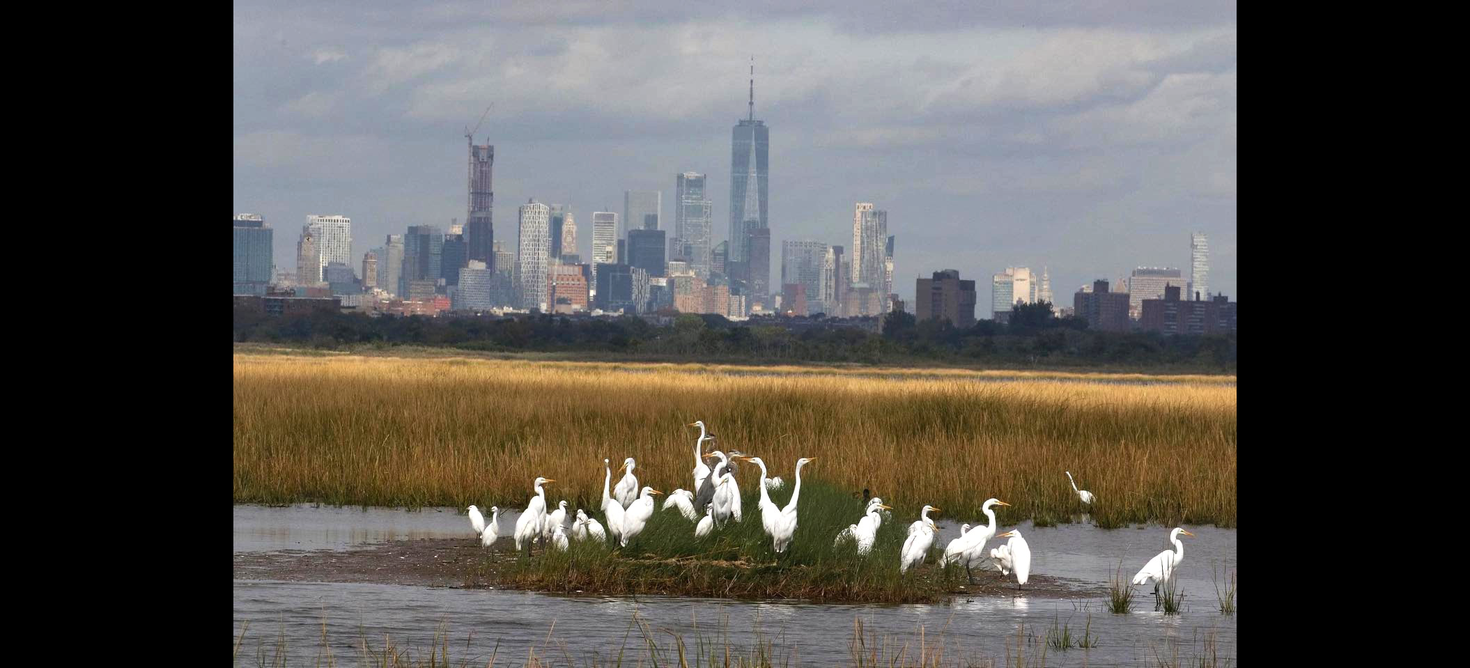 Egret Island and City