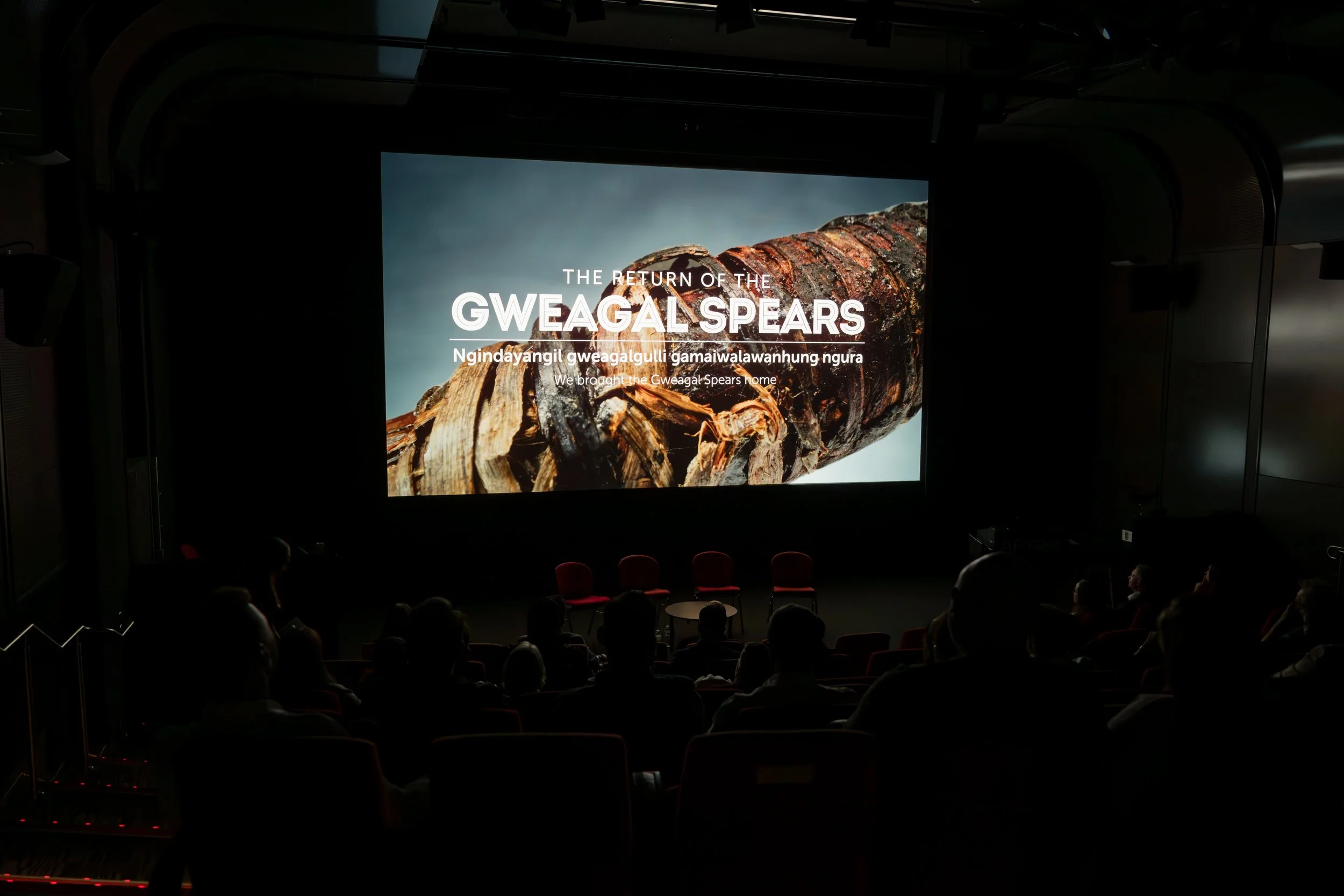 Gweagal Spears – What’s Next?