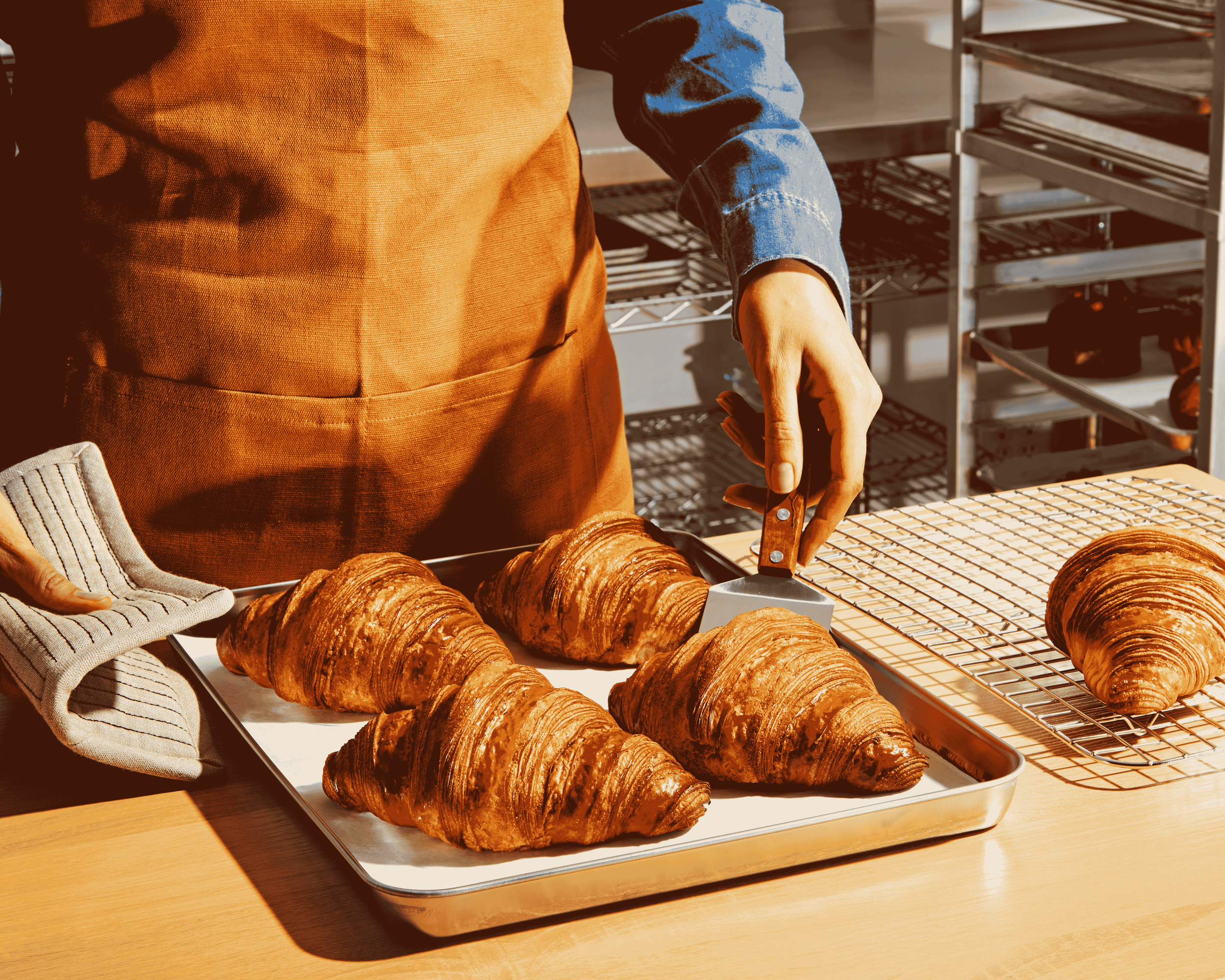 FV_05_PanLiners_2_0622 (1).png