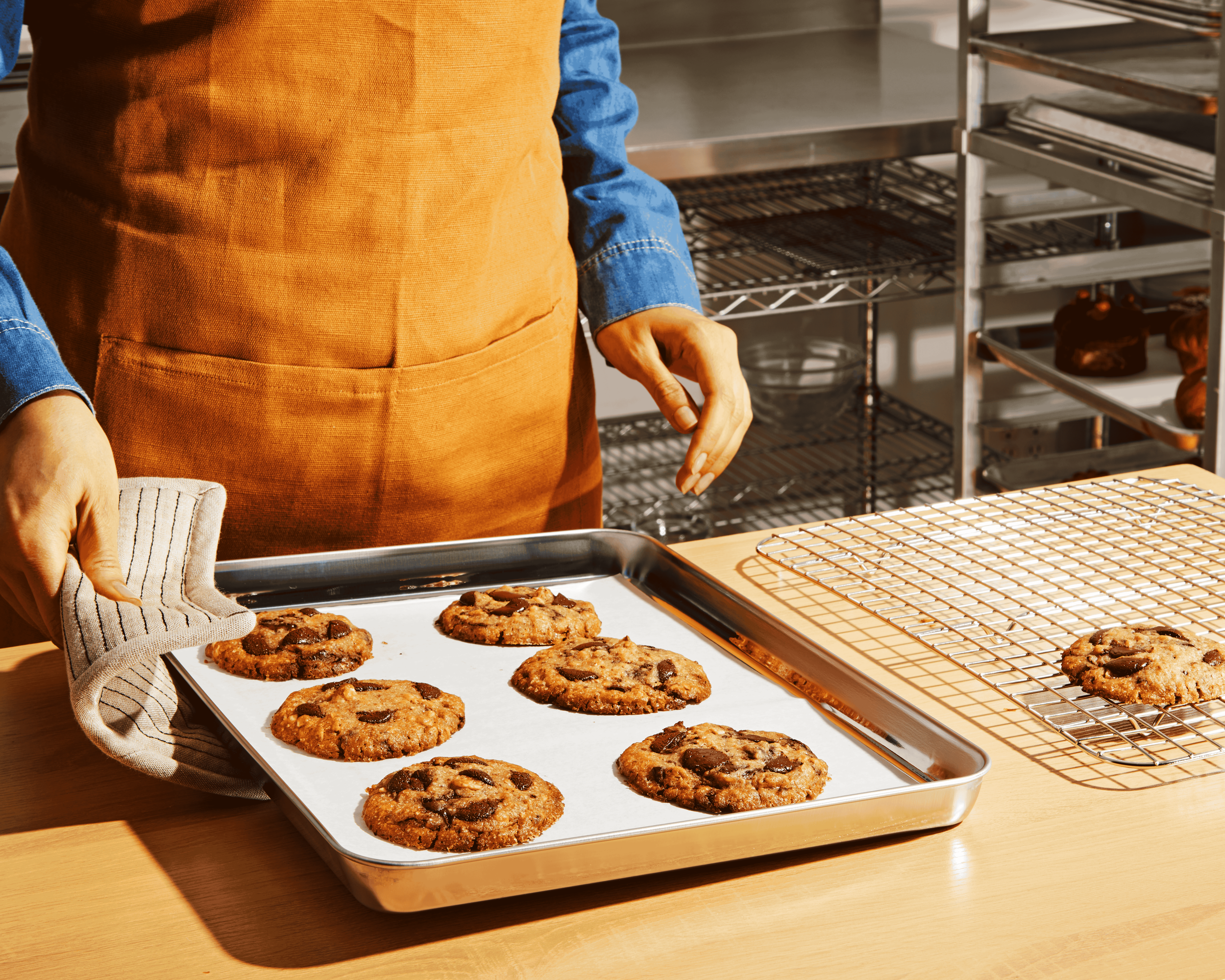 FV_05_PanLiners_4_0708 (2).png