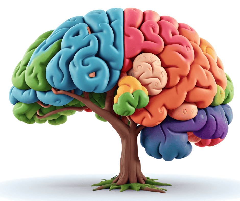 Effort Praise vs. Ability Praise: Fueling the Growth Mindset