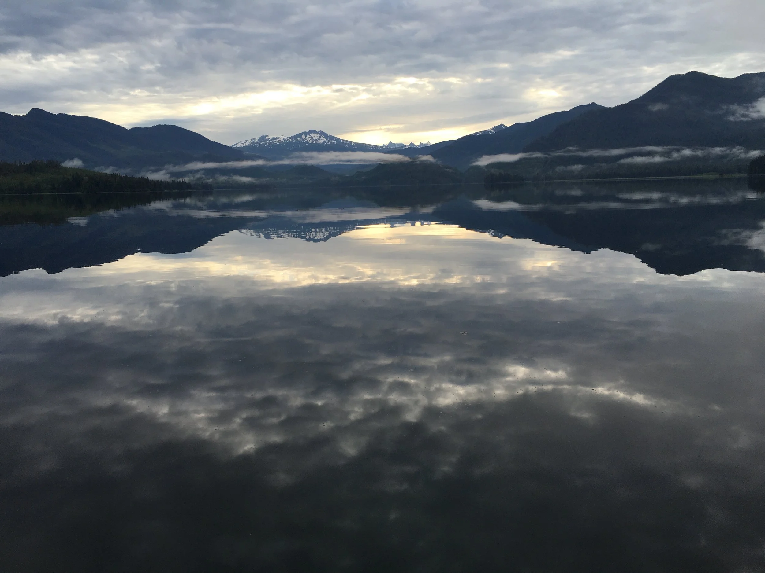 6F7C6B1F-5439-4316-AF3D-68409C8F5278_L0_001.jpeg
