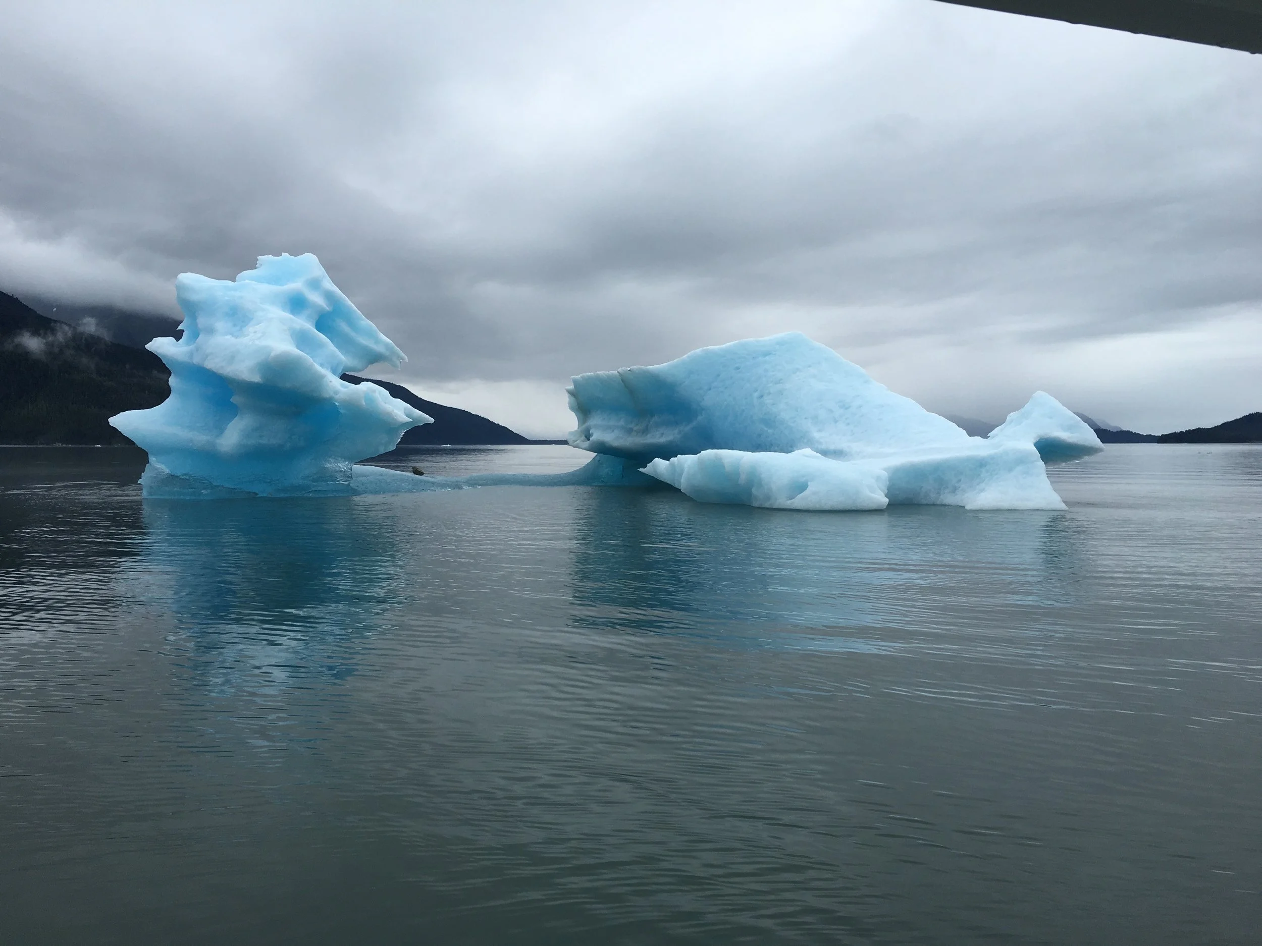 E7287982-F49F-42C6-8CA5-433EB1B1749C_L0_001.jpeg