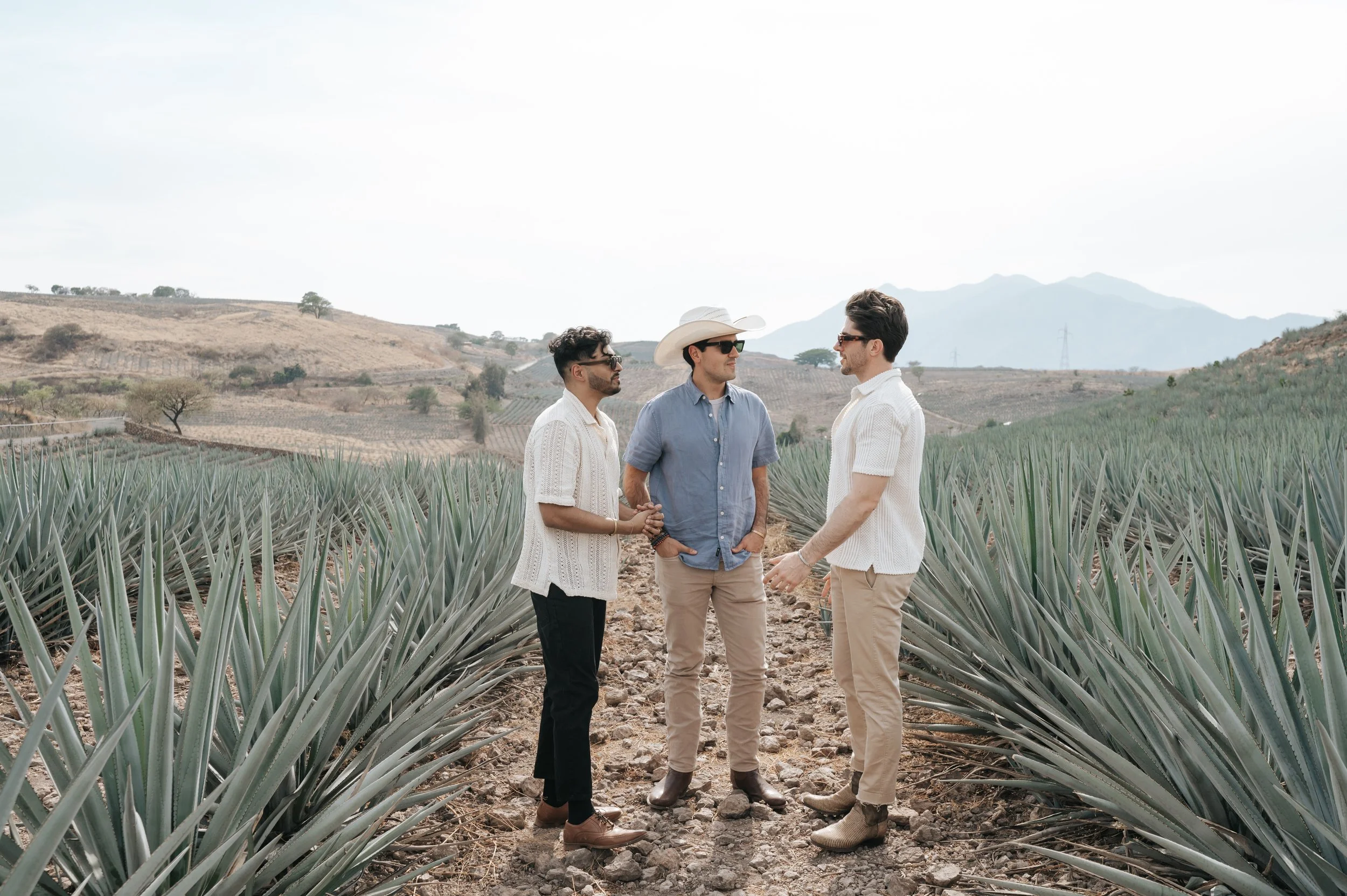 Three men standing in an agave field, engaging in conversation, with rolling hills and mountains in the background.