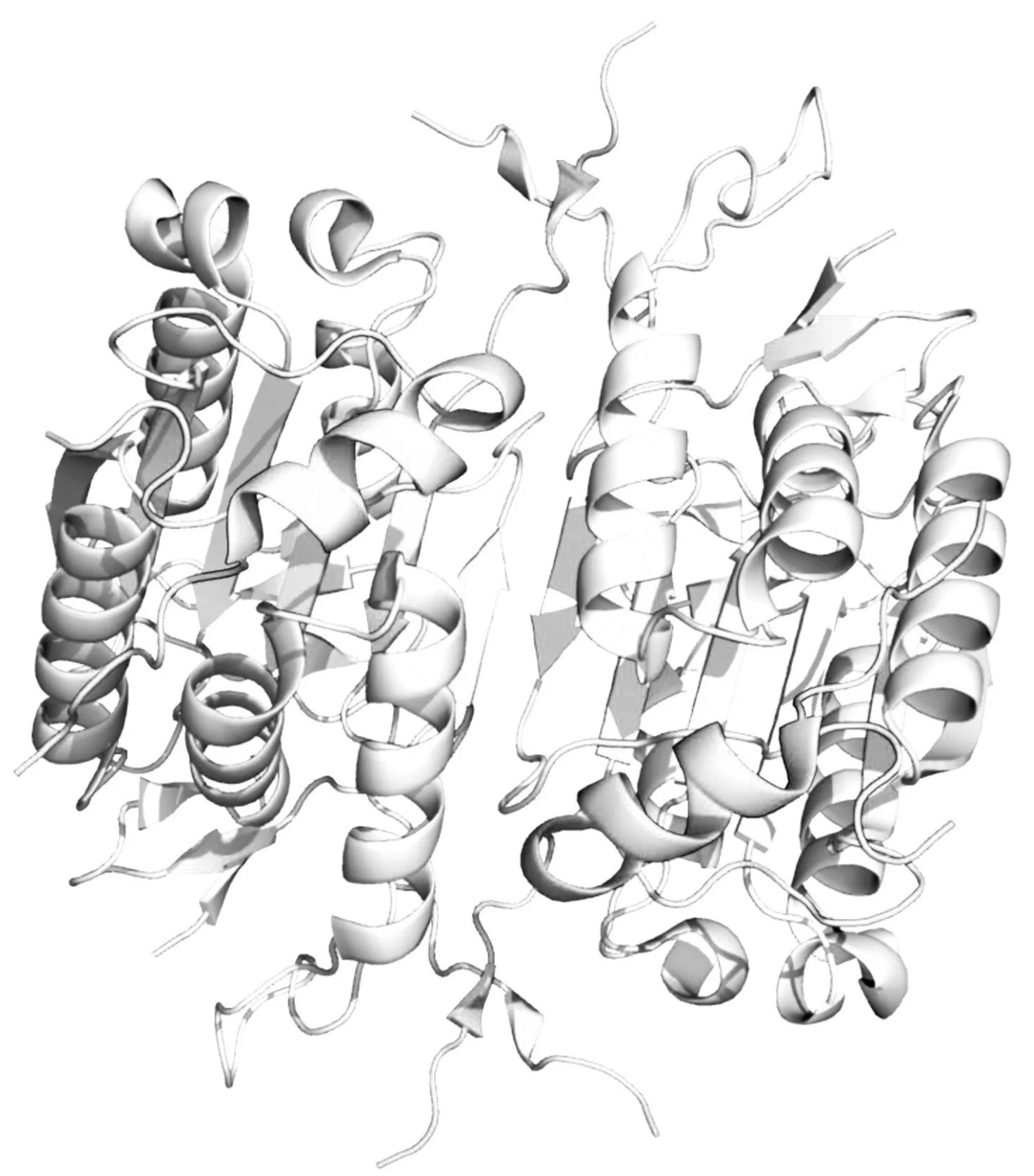 Available Now: New Tools for Caspase 2 Reseach