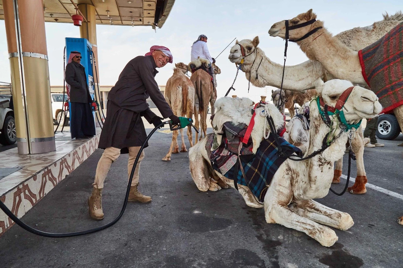 Farewell Saudi – Its Bedouin, Rangers, Camels and Royal Kindness
