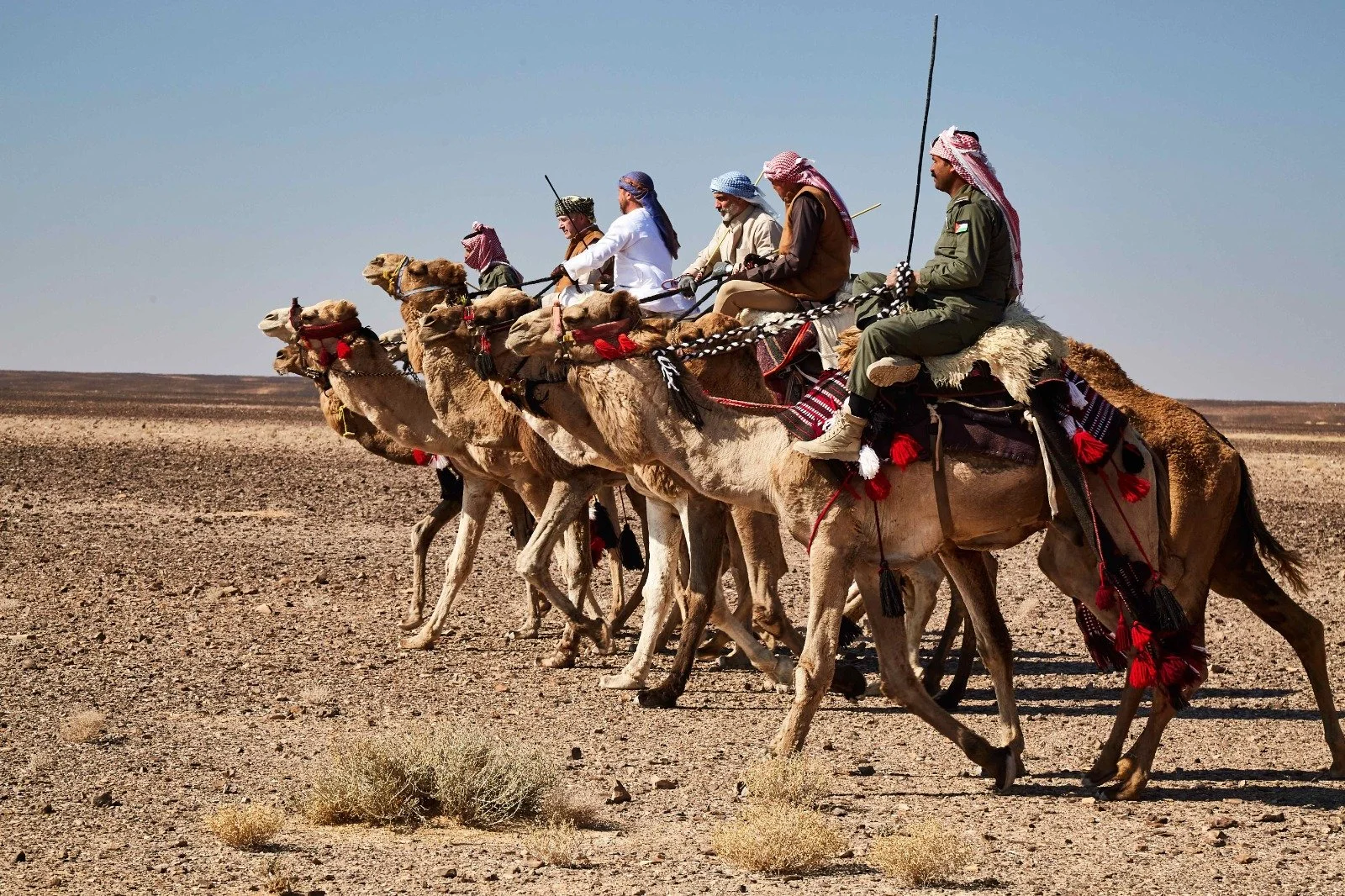 WhatsApp Image 2025-09-15 at 09.44.03.jpeg