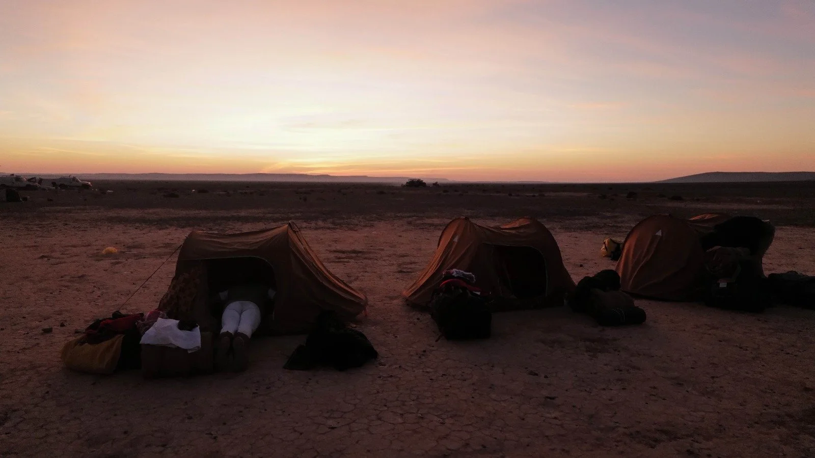 WhatsApp Image 2025-09-15 at 09.56.08.jpeg