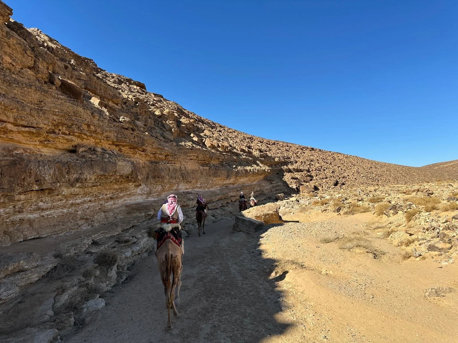 WhatsApp Image 2025-10-28 at 14.04.34.jpeg