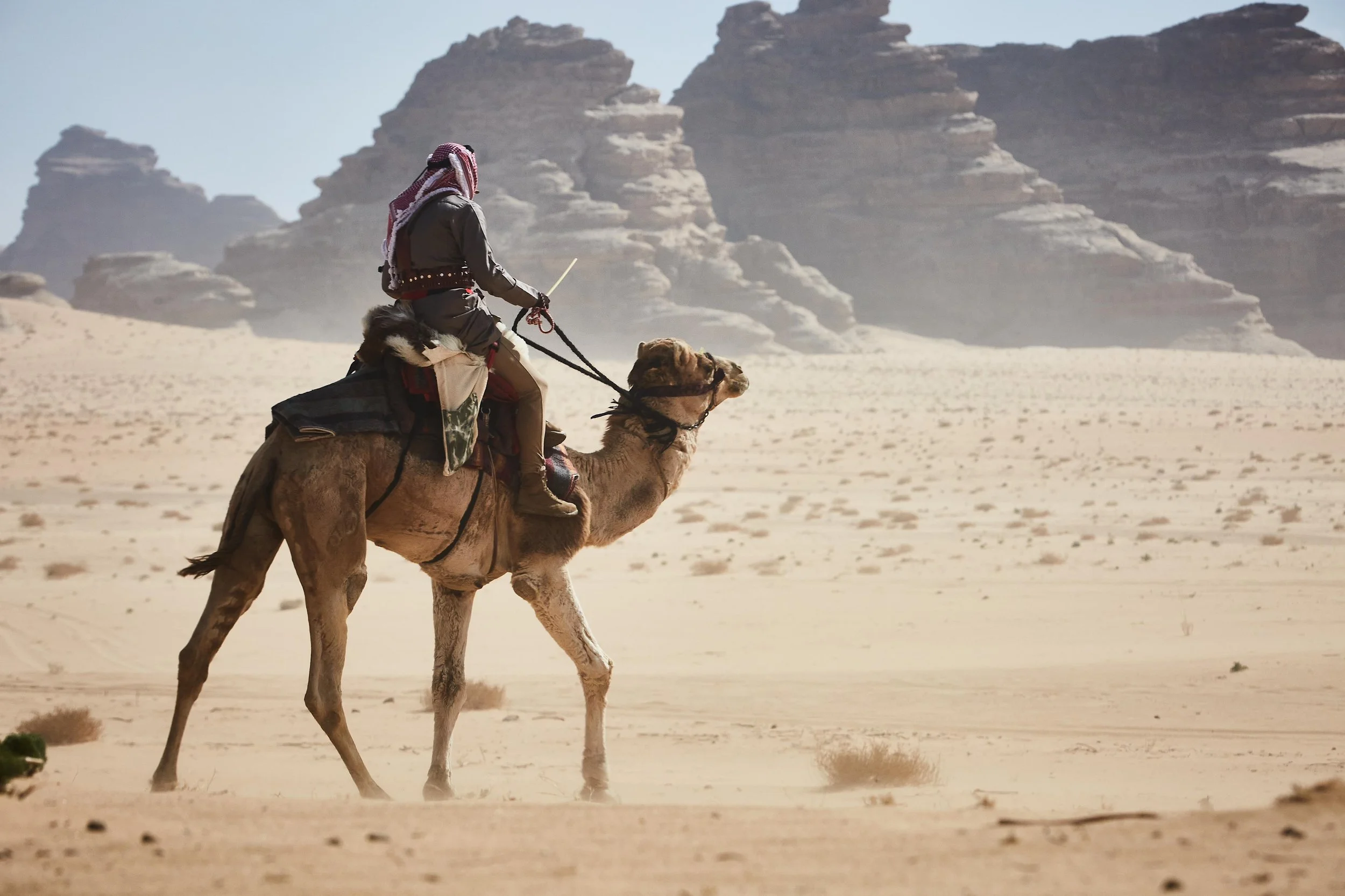 WhatsApp Image 2025-02-05 at 18.56.29.jpeg