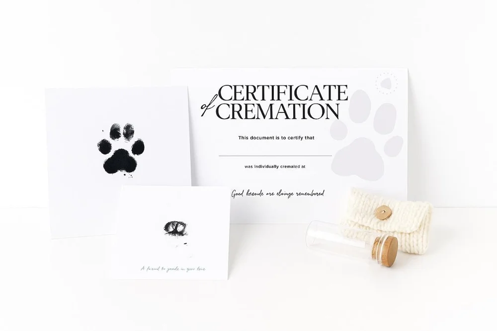 Basic Package — Gentle Waves