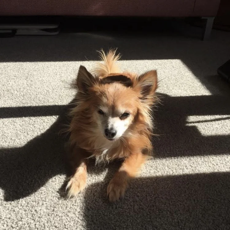 Reviewer photo of Shannon T.