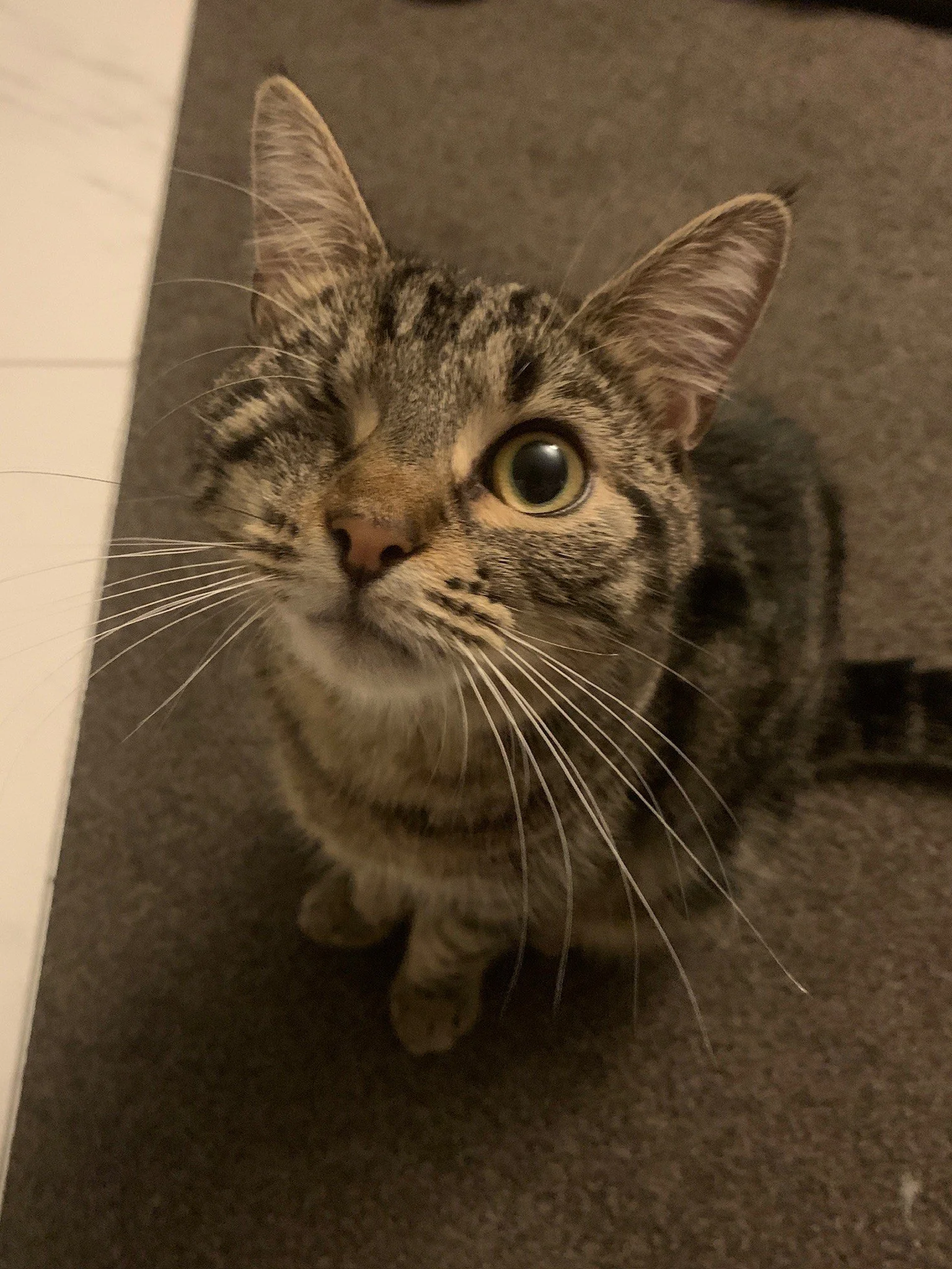 Reviewer photo of Alyssa K.