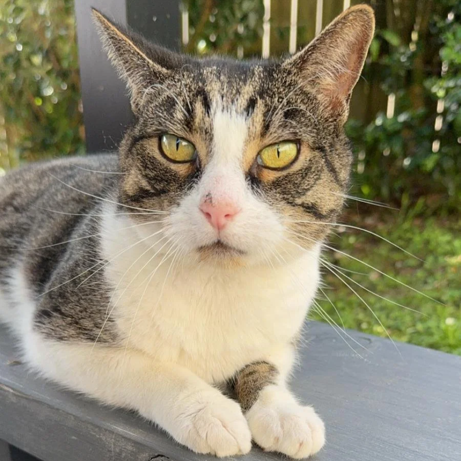 Reviewer photo of Jennifer K.