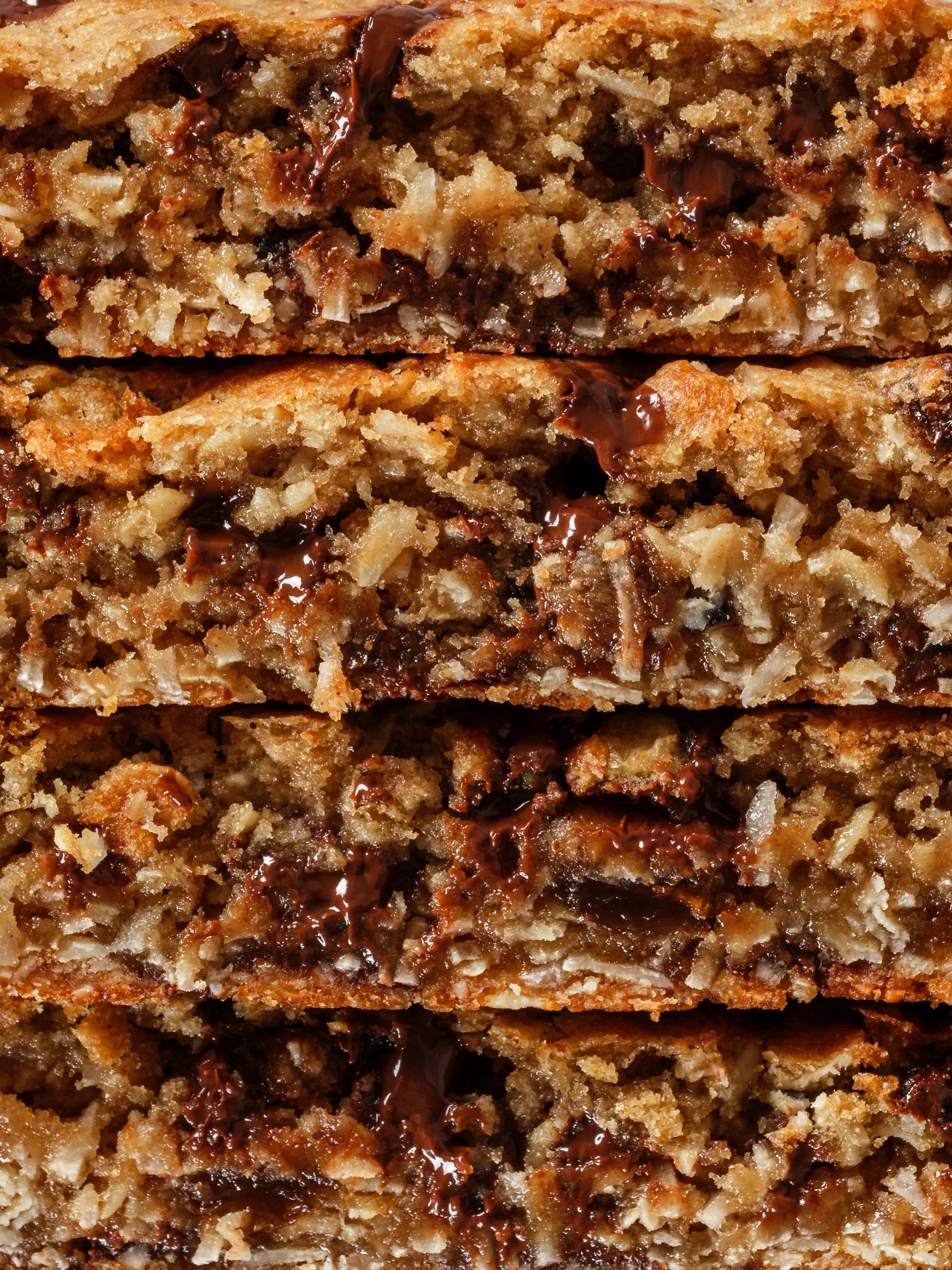 OATY RAISIN (GF)