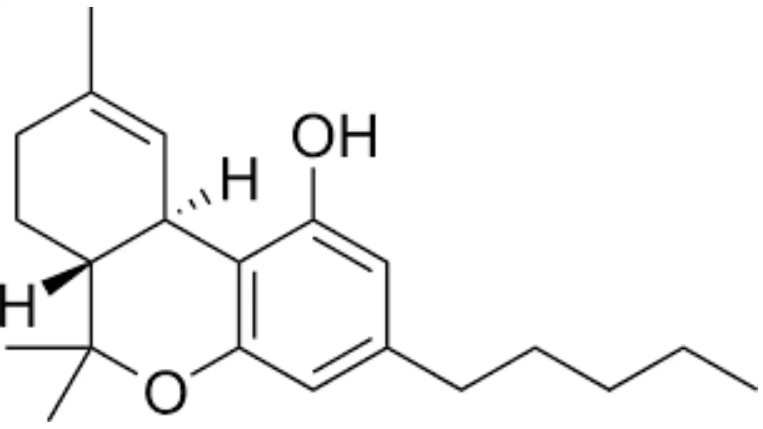 What Does It Mean When a Product Has 0.3% THC?