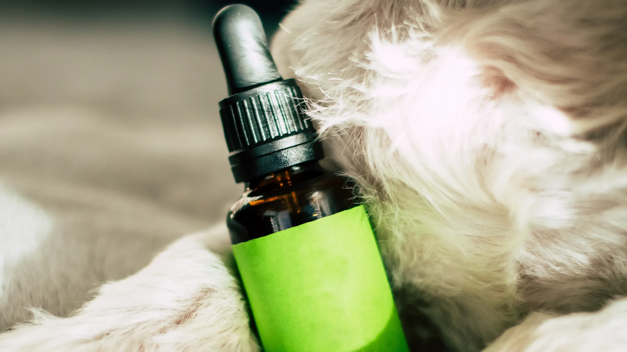 CBD for Beginners: The Complete Guide for 2026