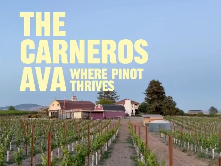 Why Carneros? Because Pinot Noir needs time, space, and just the right amount of struggle to become what it&rsquo;s meant to be.

Cool foggy mornings, long growing days, and tough soils make this region the perfect home for elegant, balanced Pinot. I
