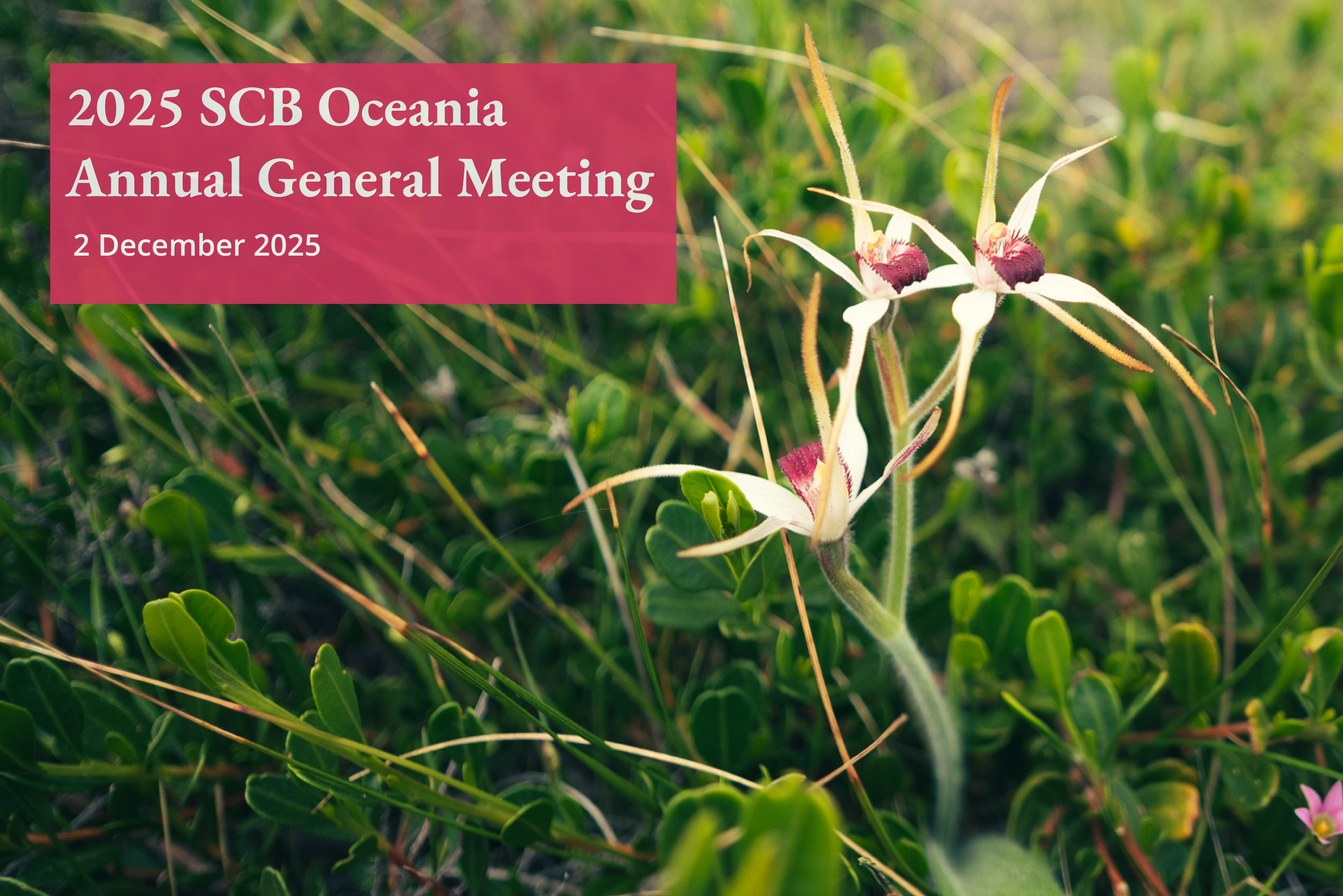 SCBO 2025 Annual General Meeting