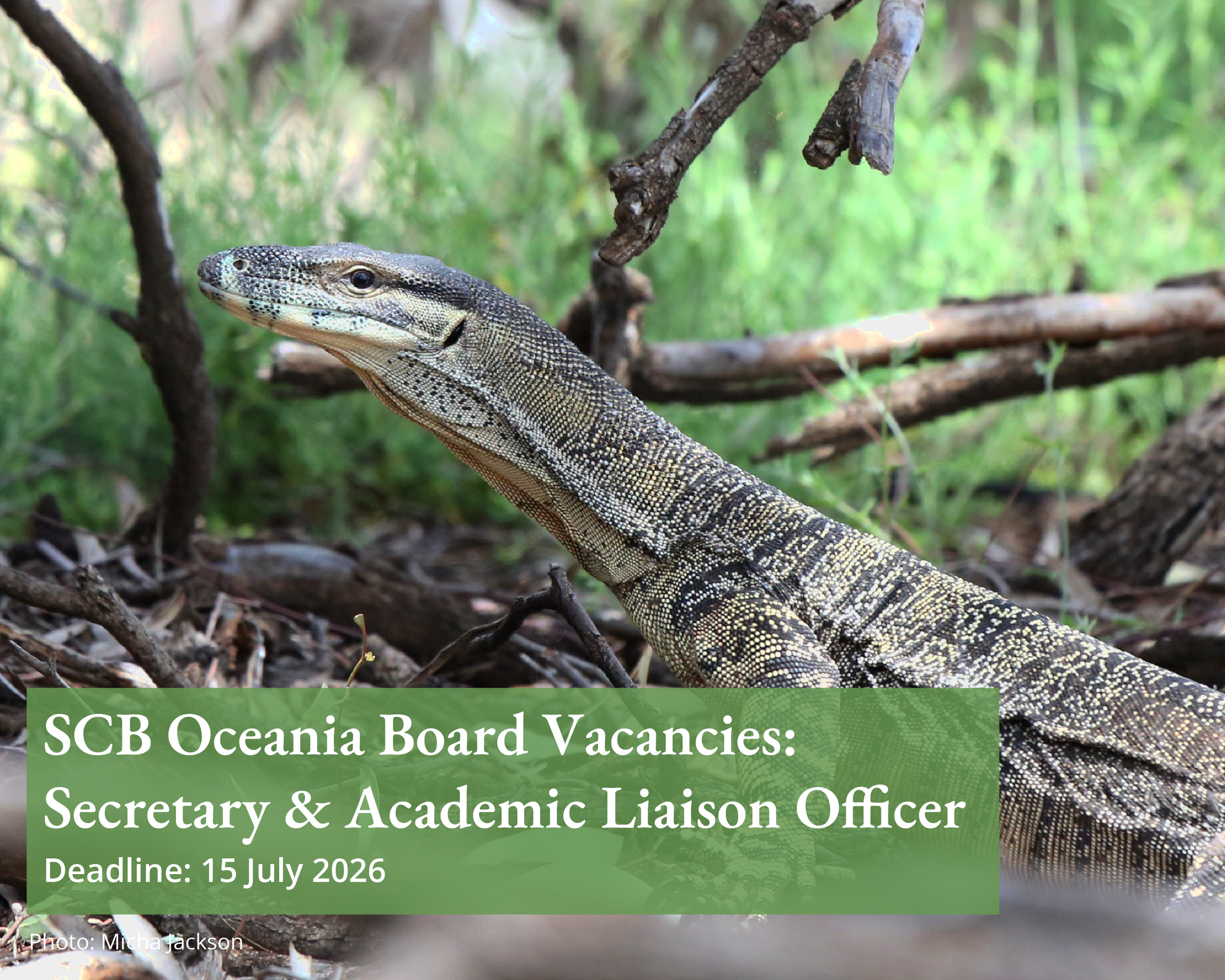 Call for Nominations to Serve on the SCBO Board