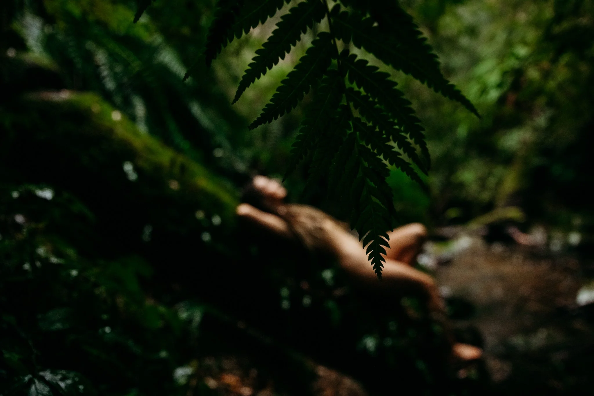 A person lying face down on the ground in a forest, partially obscured by large green fern leaves overhead.