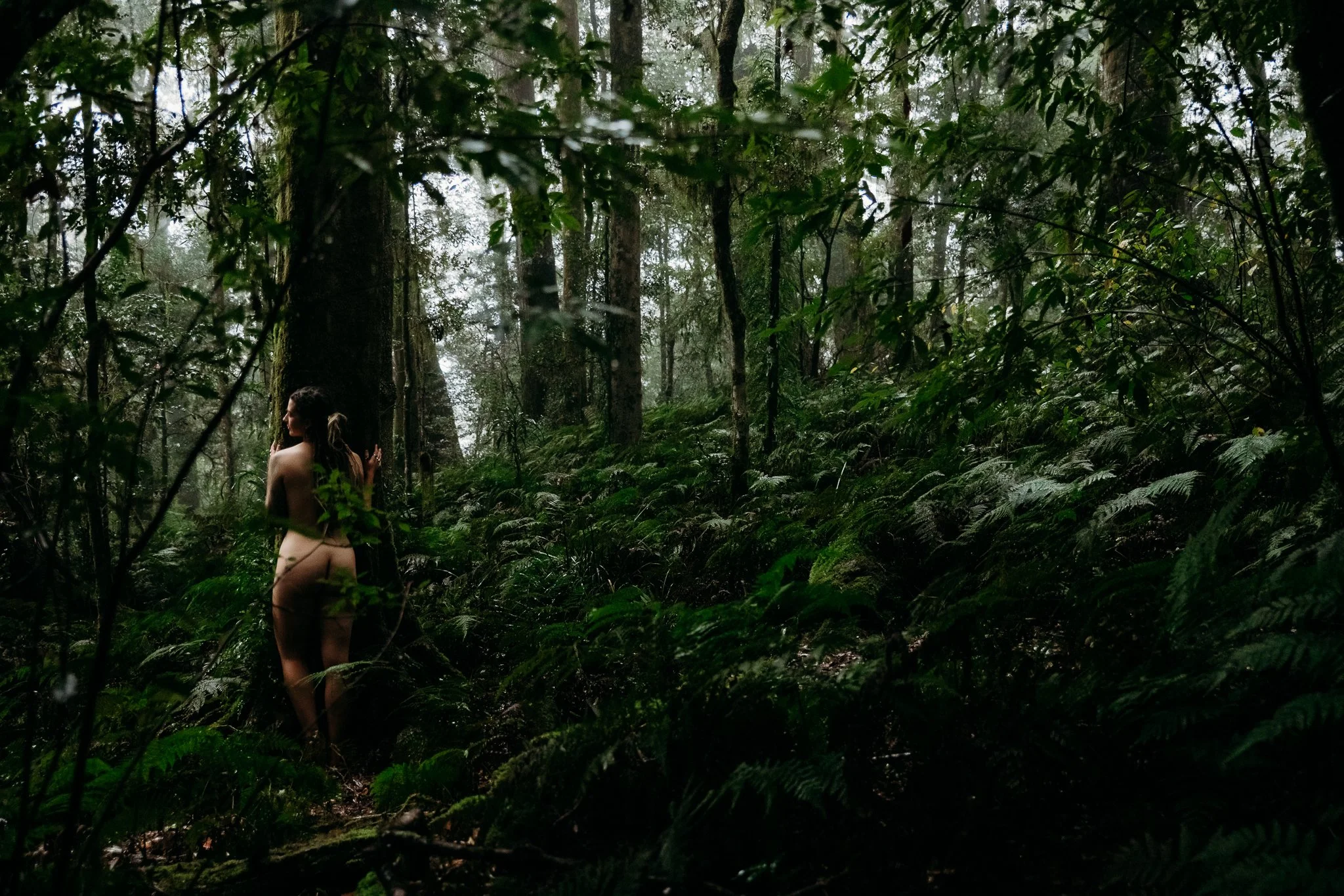 A person standing nude among dense green forest foliage with tall trees and ferns surrounding them.