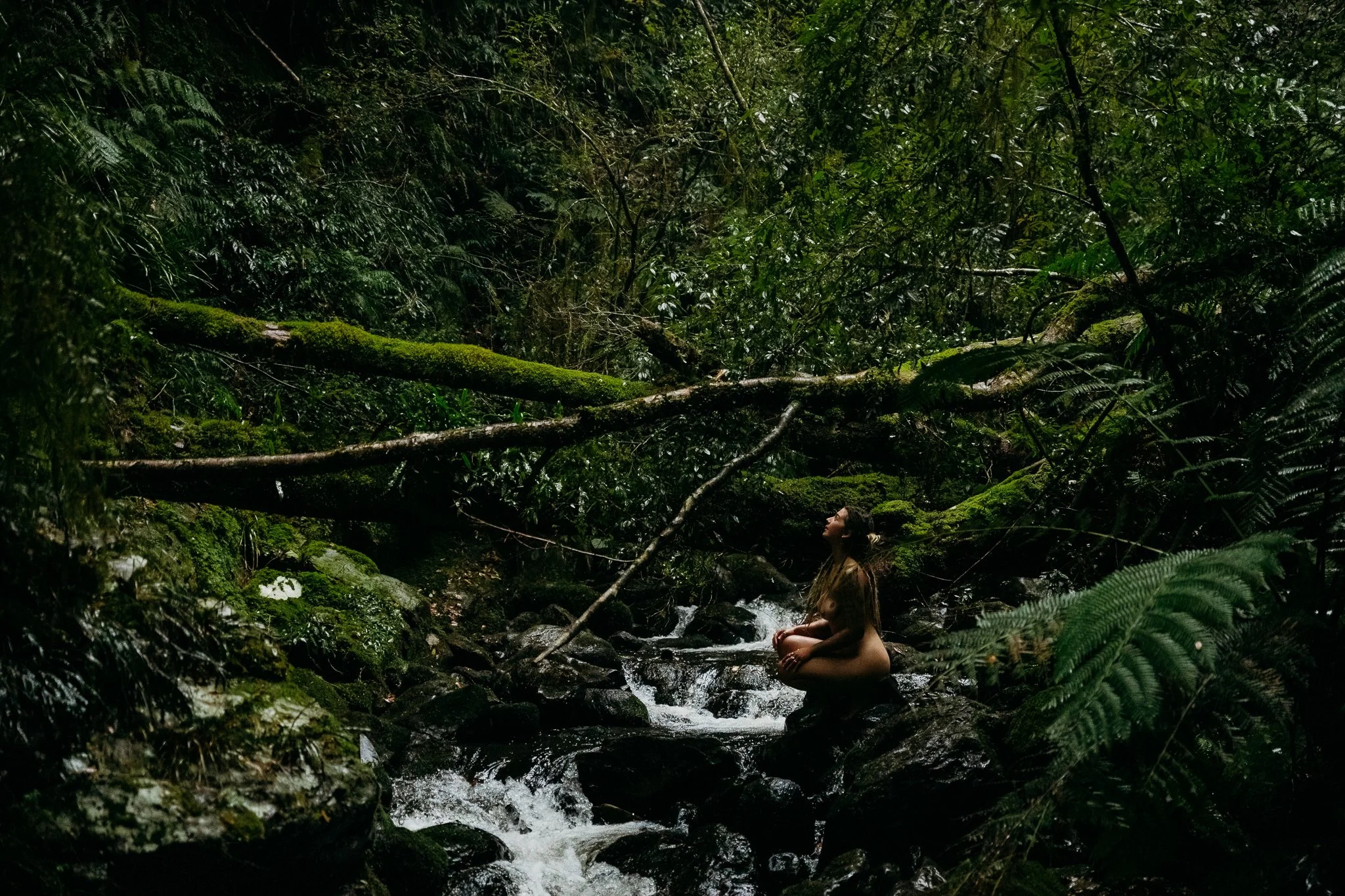 A woman kneeling on rocks in a small mountain stream surrounded by lush green tropical foliage, with moss-covered branches overhead.