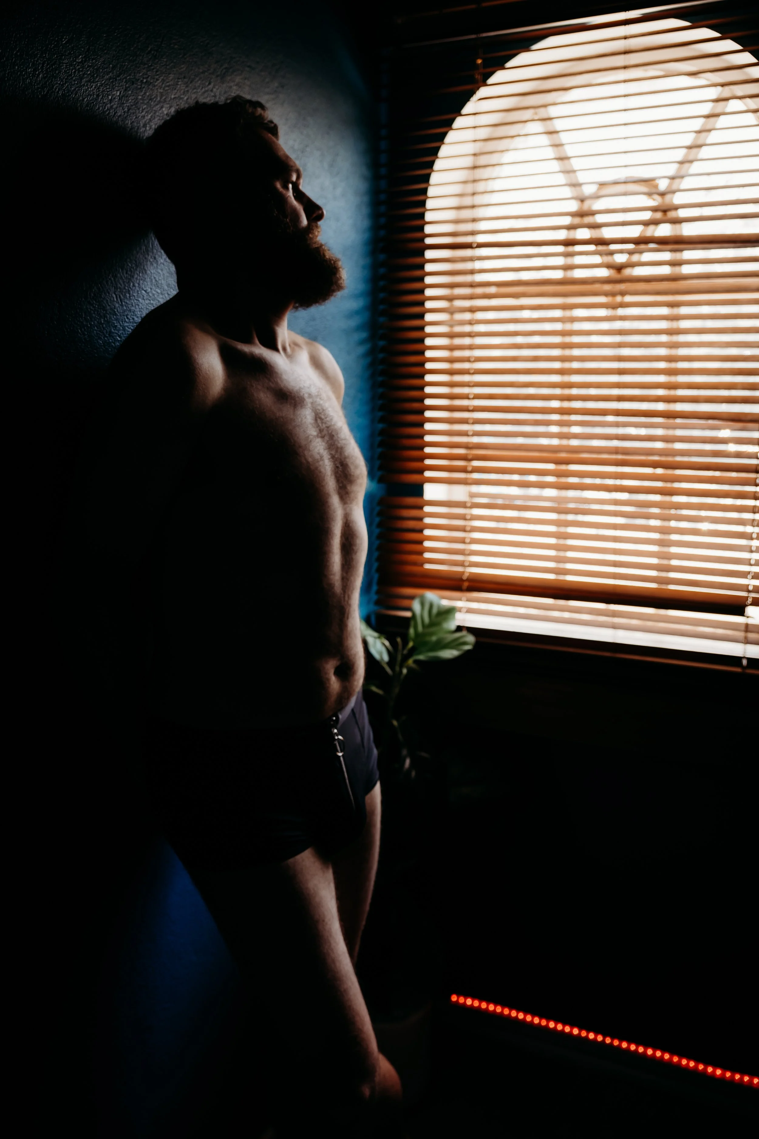 A shirtless man with a beard standing in front of a window with wooden blinds, looking out, lit by warm sunlight.