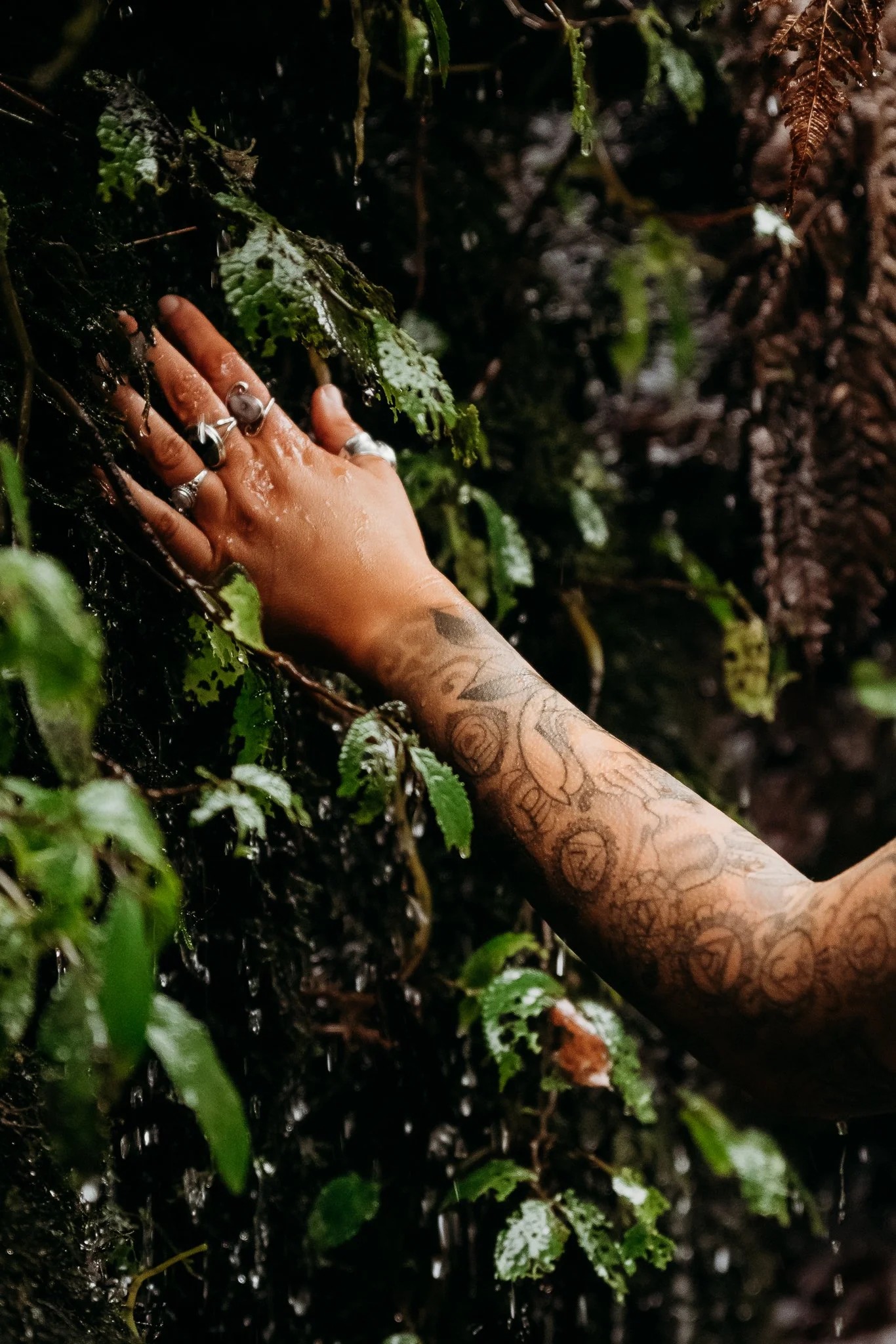 Person with tattooed arm and multiple rings touching wet green moss or plants on a tree trunk in a forest.