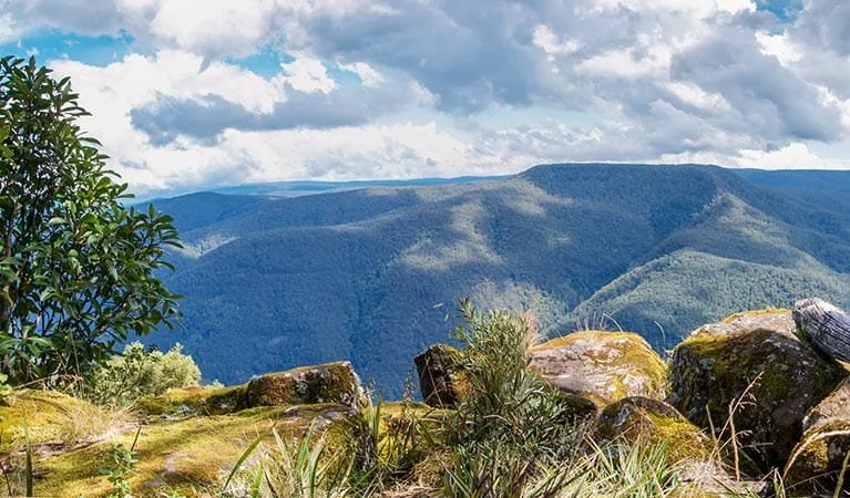 Thunderbolts Lookout Barrington Tops