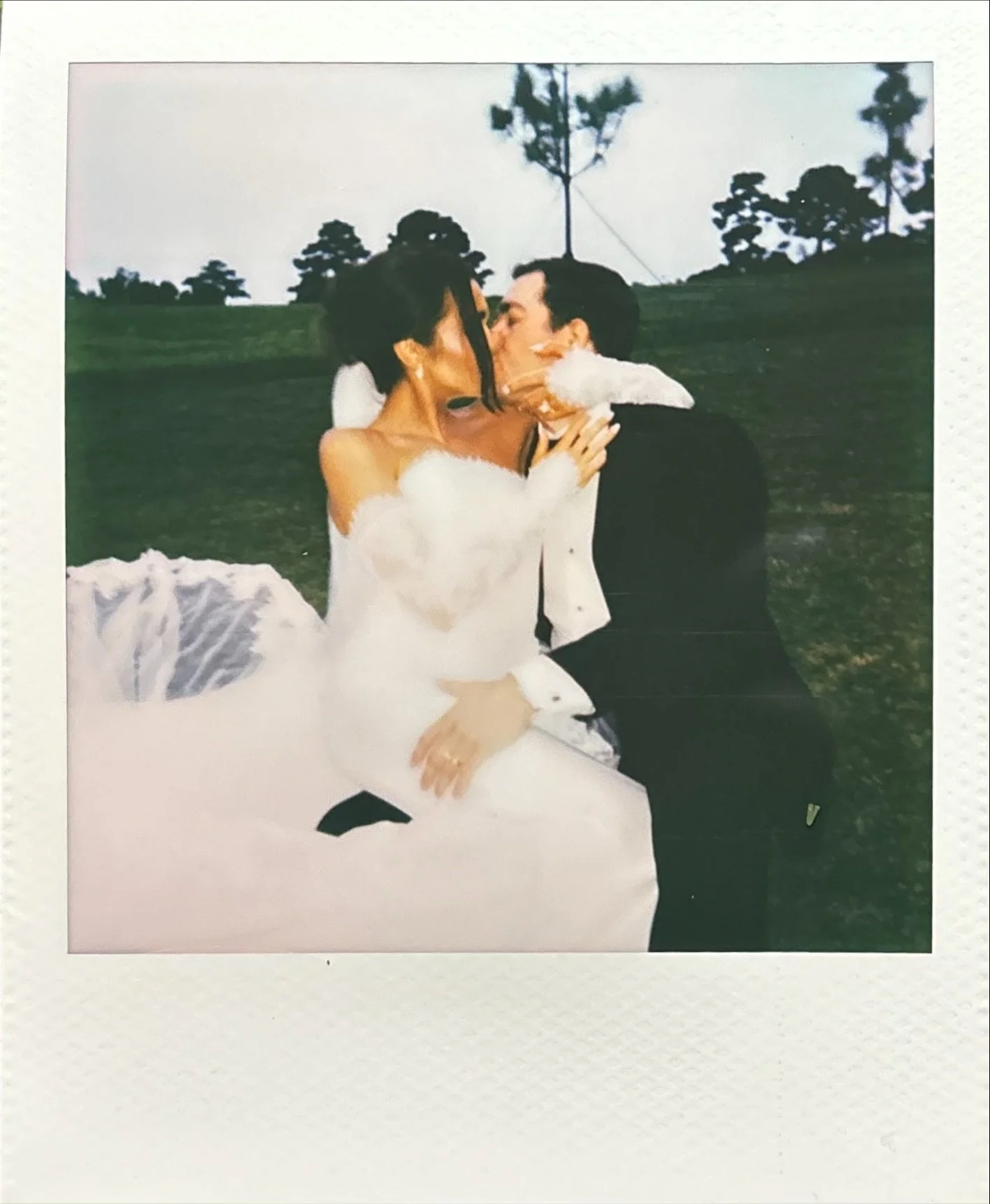 A bride and groom sharing a kiss outdoors, the bride in a white wedding gown with a veil and the groom in a black suit, with trees and grassy landscape in the background.