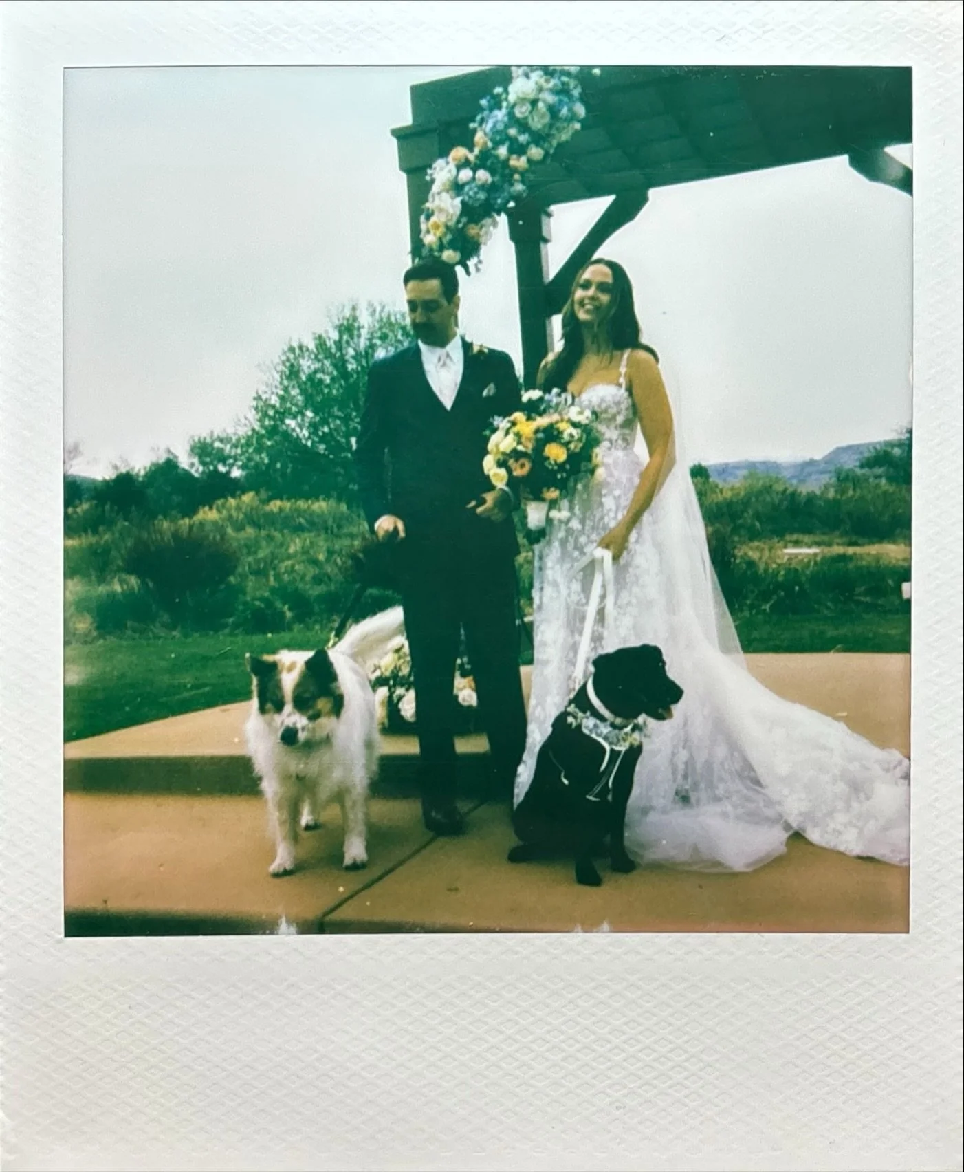 A bride and groom standing on an outdoor platform with two dogs, one white and black and one black, during their wedding ceremony. The bride is holding a bouquet and wearing a white wedding dress, while the groom is in a dark suit with a white shirt and tie. There is a large wooden arch decorated with flowers behind them, and a scenic countryside landscape in the background.