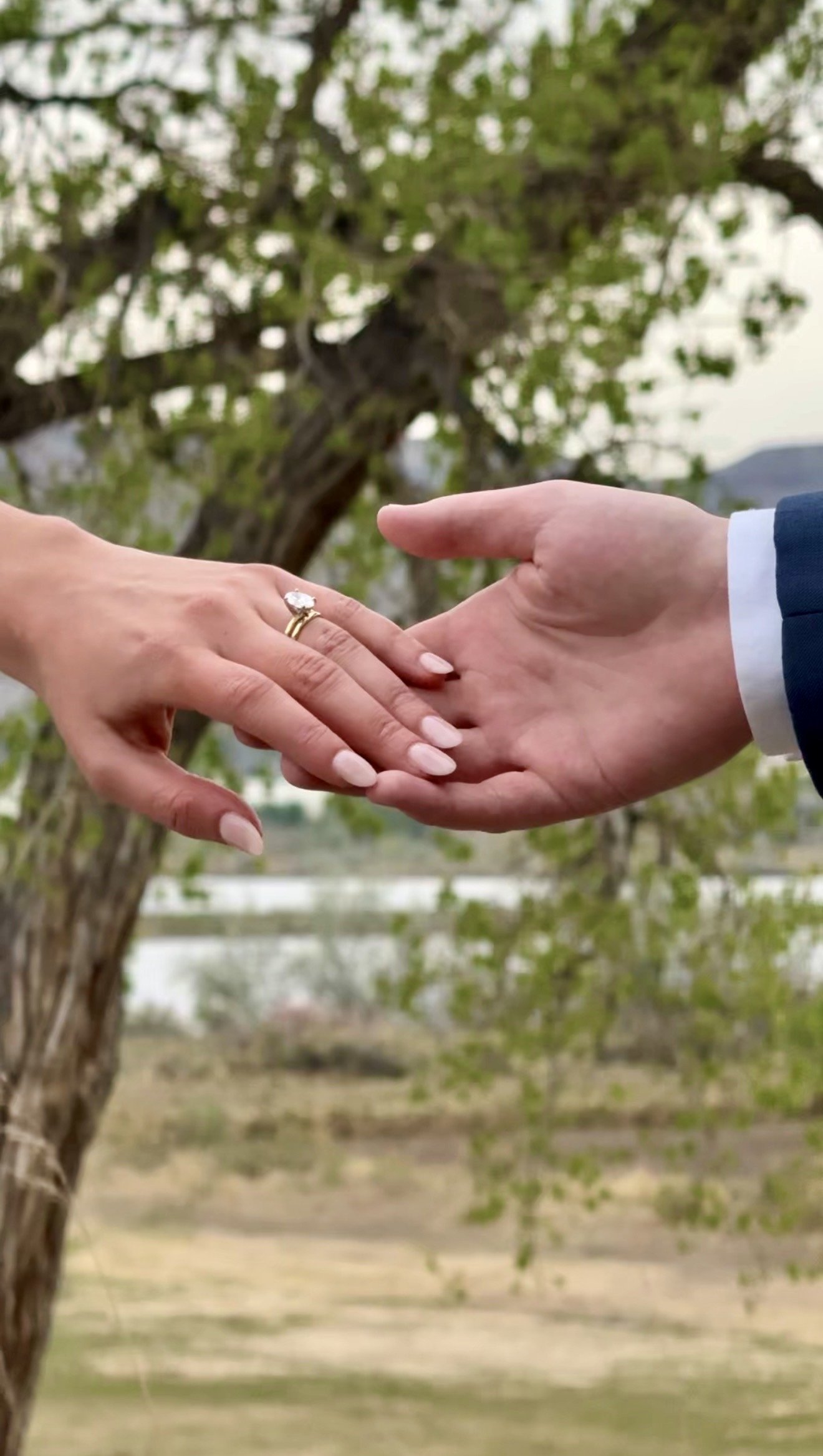A close-up of two hands reaching towards each other outdoors, with a tree and sky in the background. One hand is wearing a ring, and the other is in a suit.