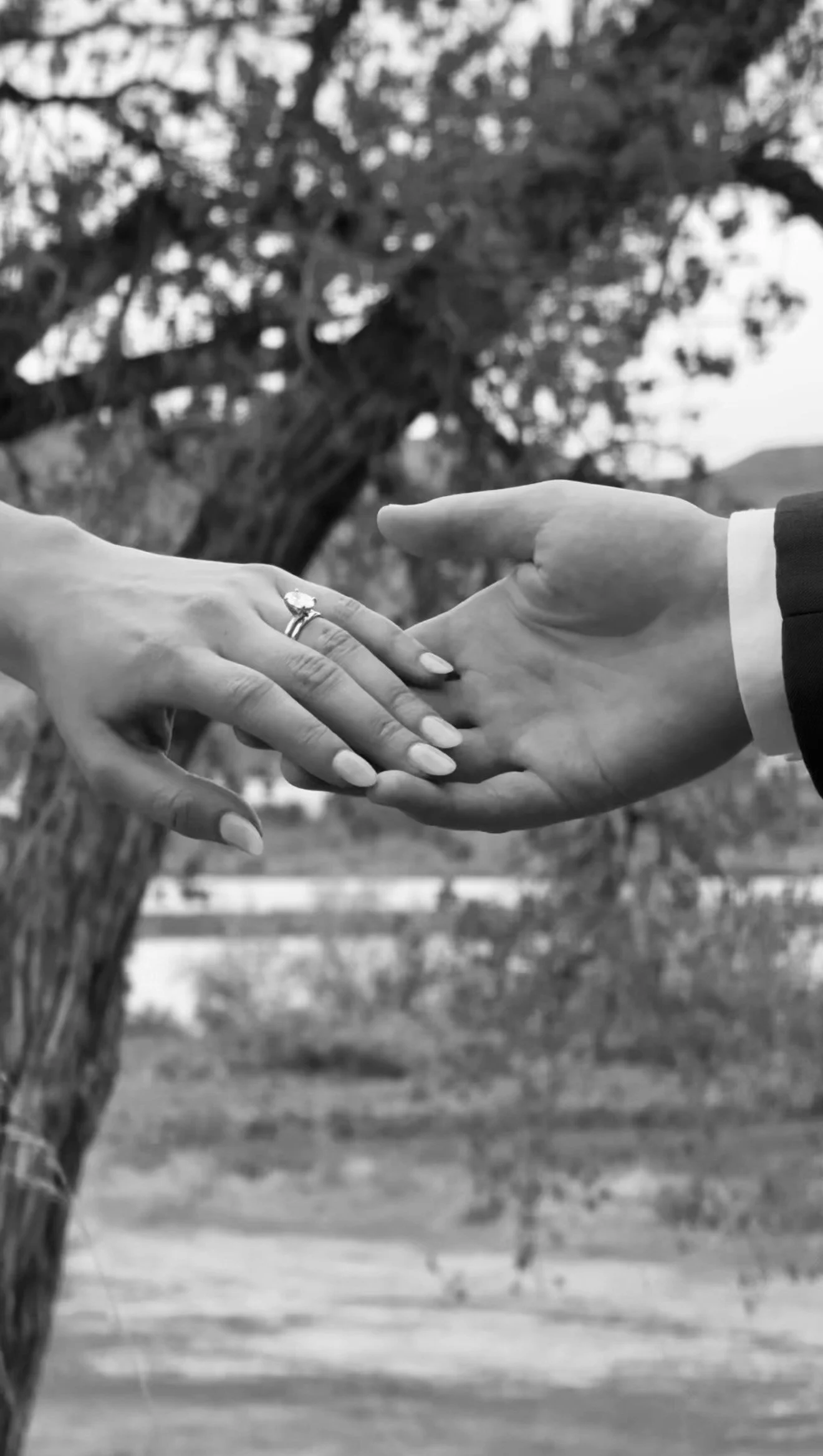 the-gemma-social-colorado-destination-wedding-content-creator.jpg