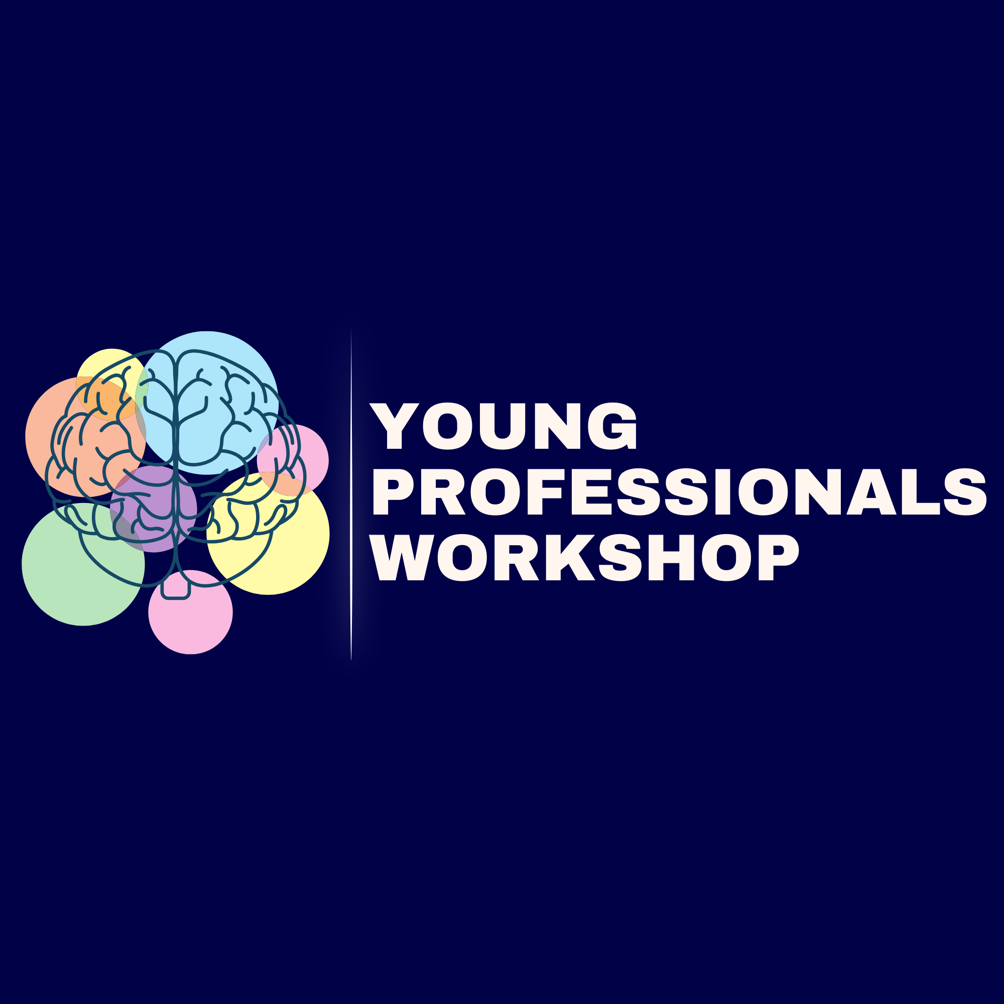 Young Professionals Workshop