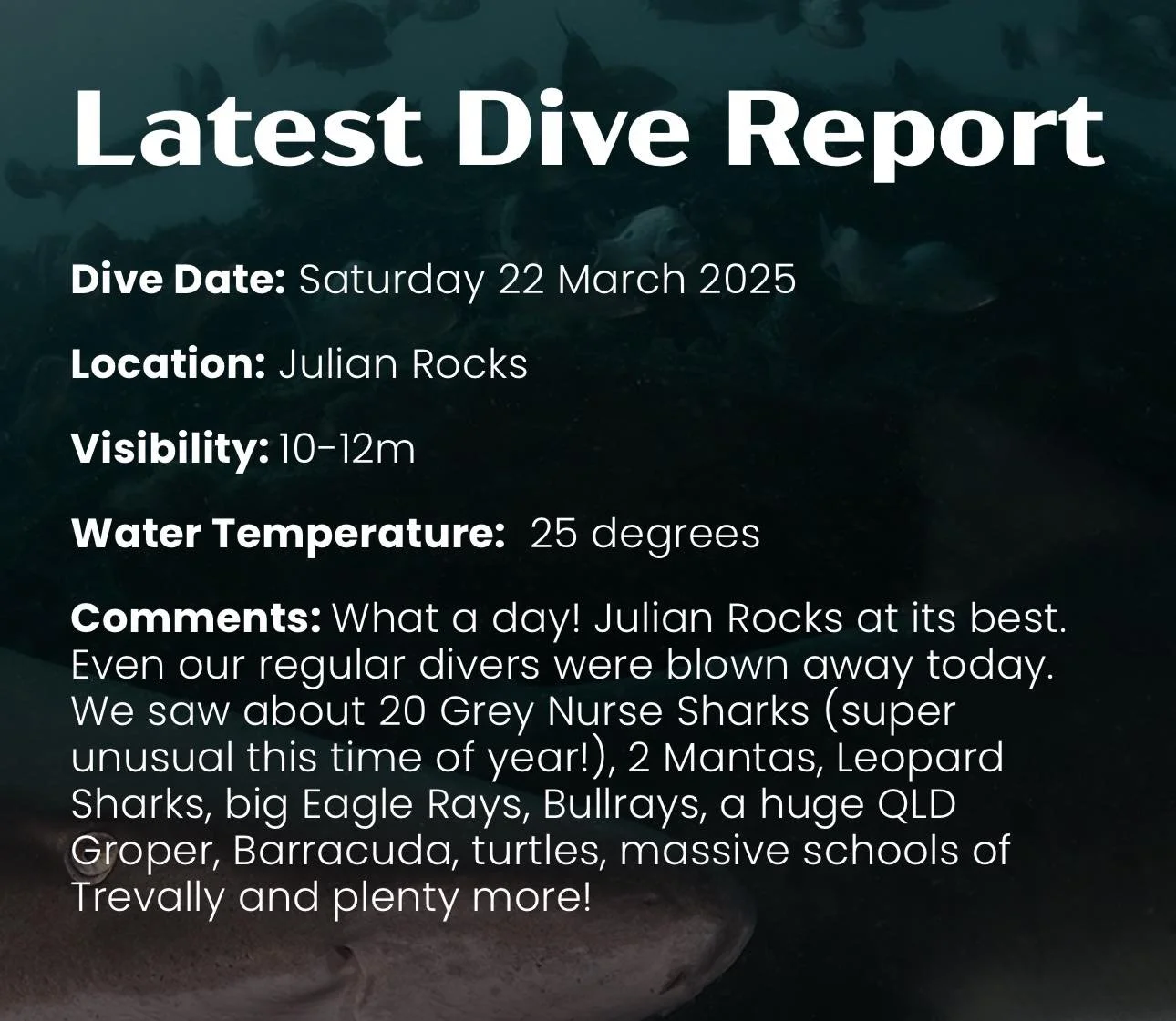 Holy Shmoly, what a day!