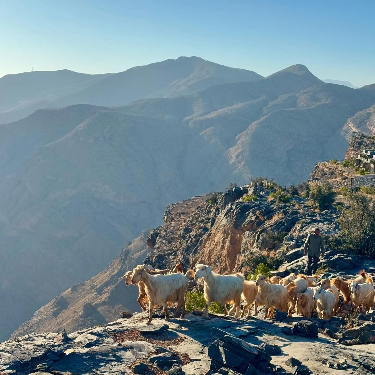 Five Days in Oman by Car