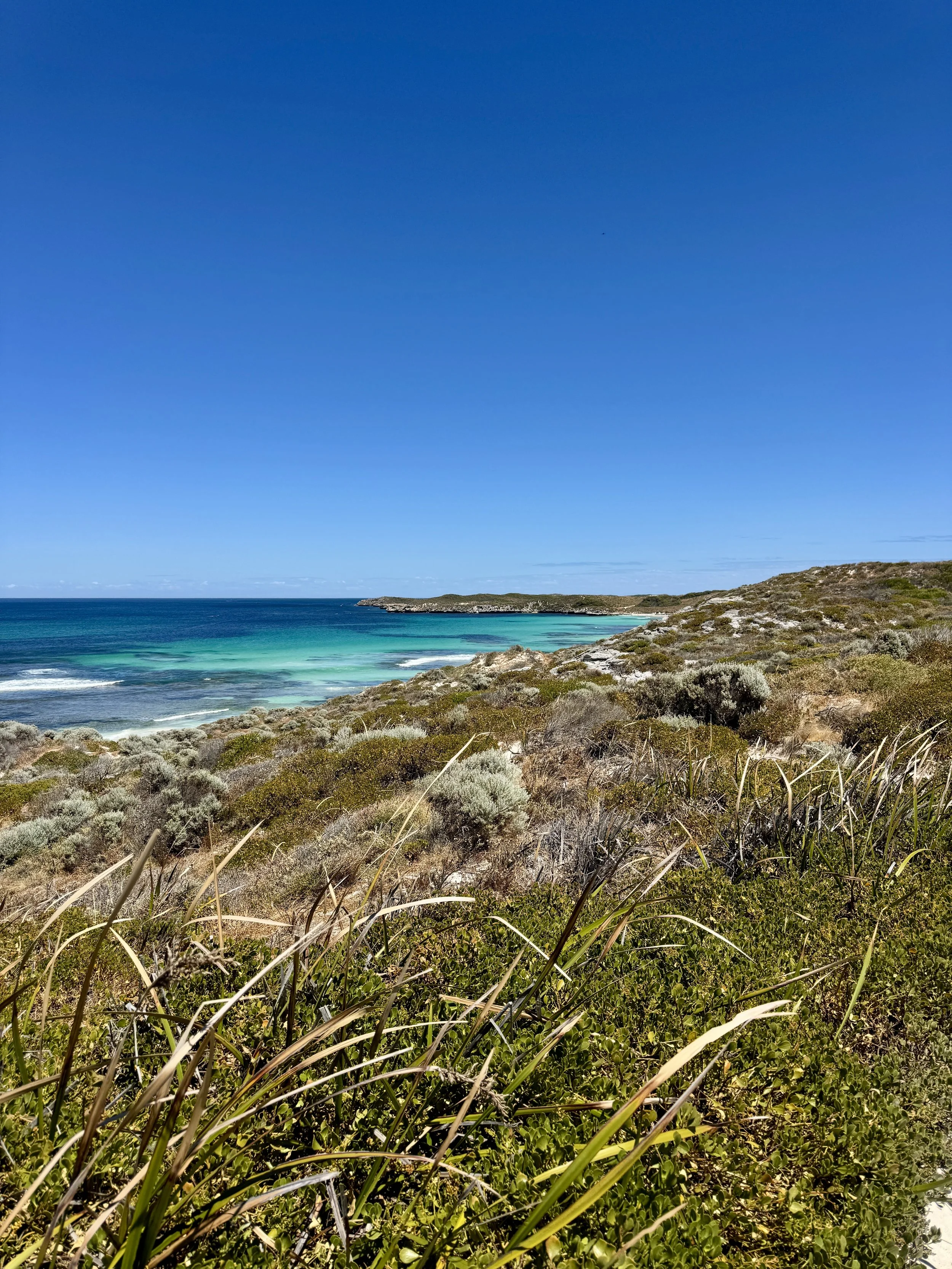 IMG_4830.jpg