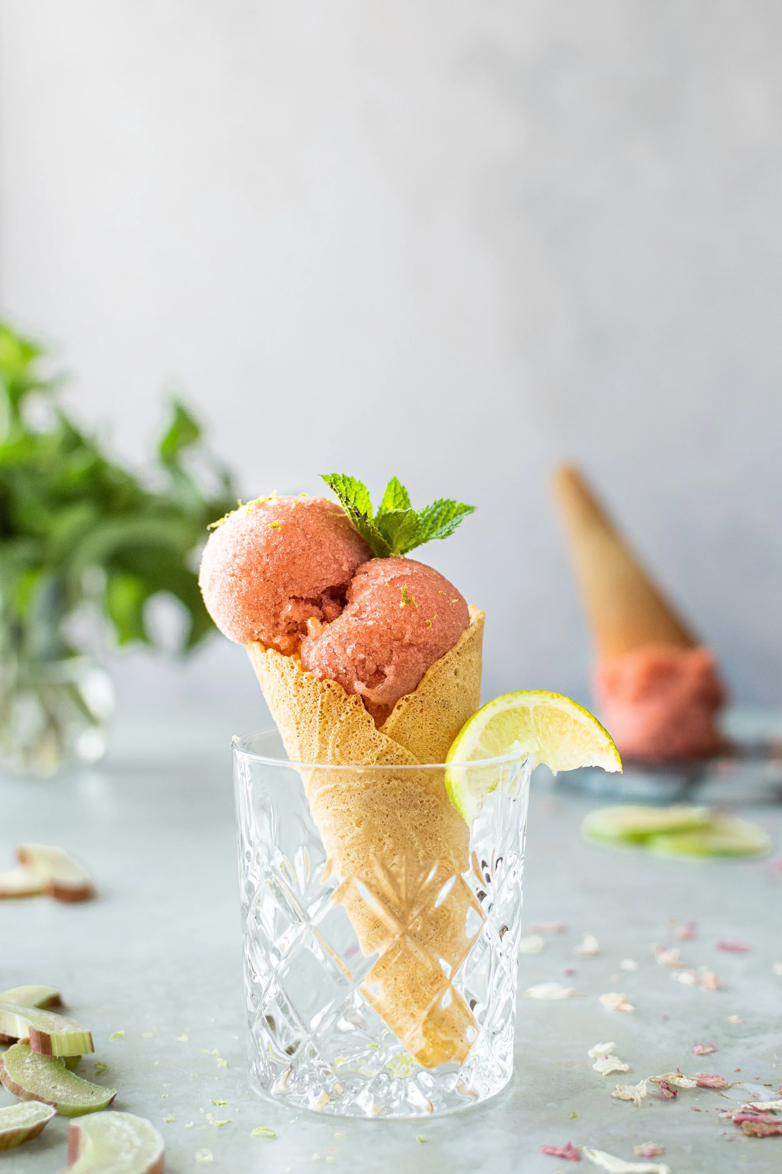 NCFsommer (4 of 5).jpg
