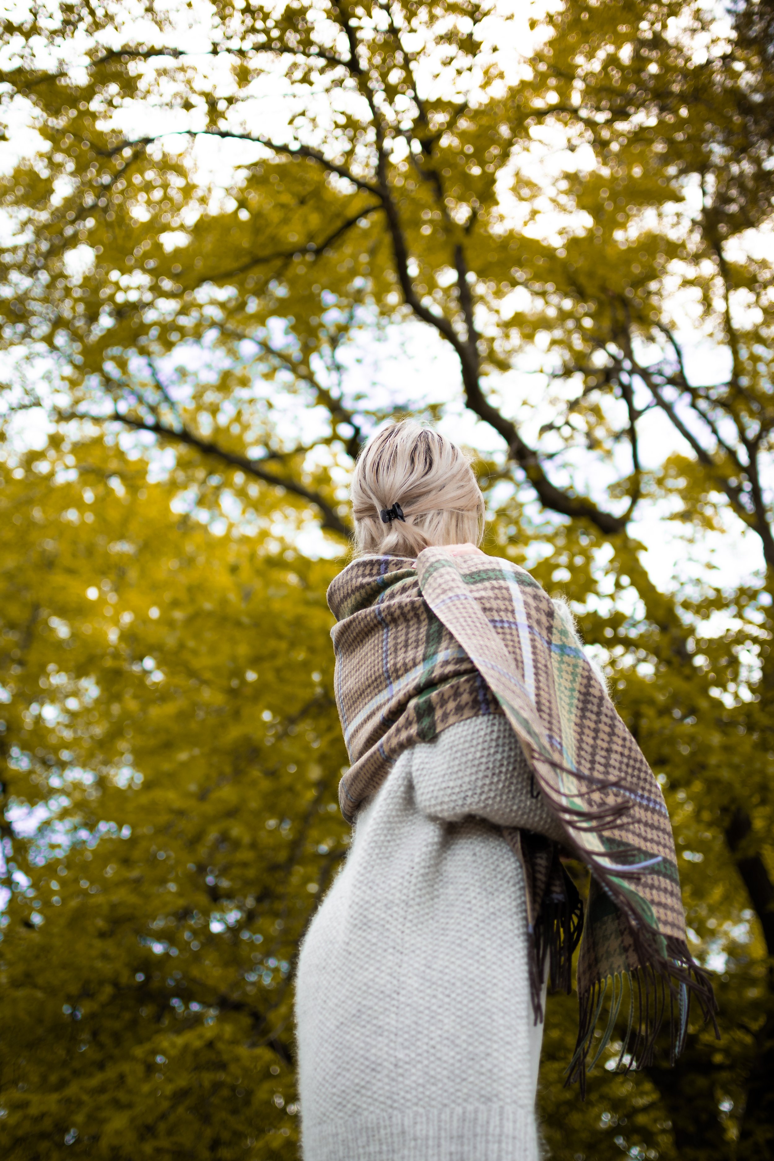 Morild Fokus 2 (2 of 4).jpg