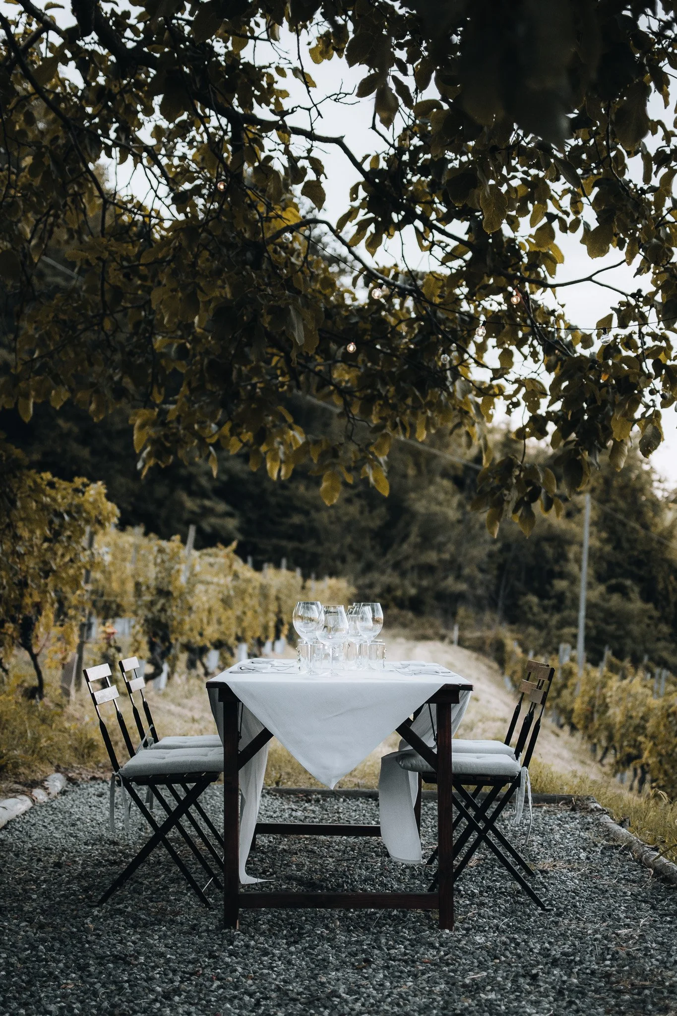 garden piedmont