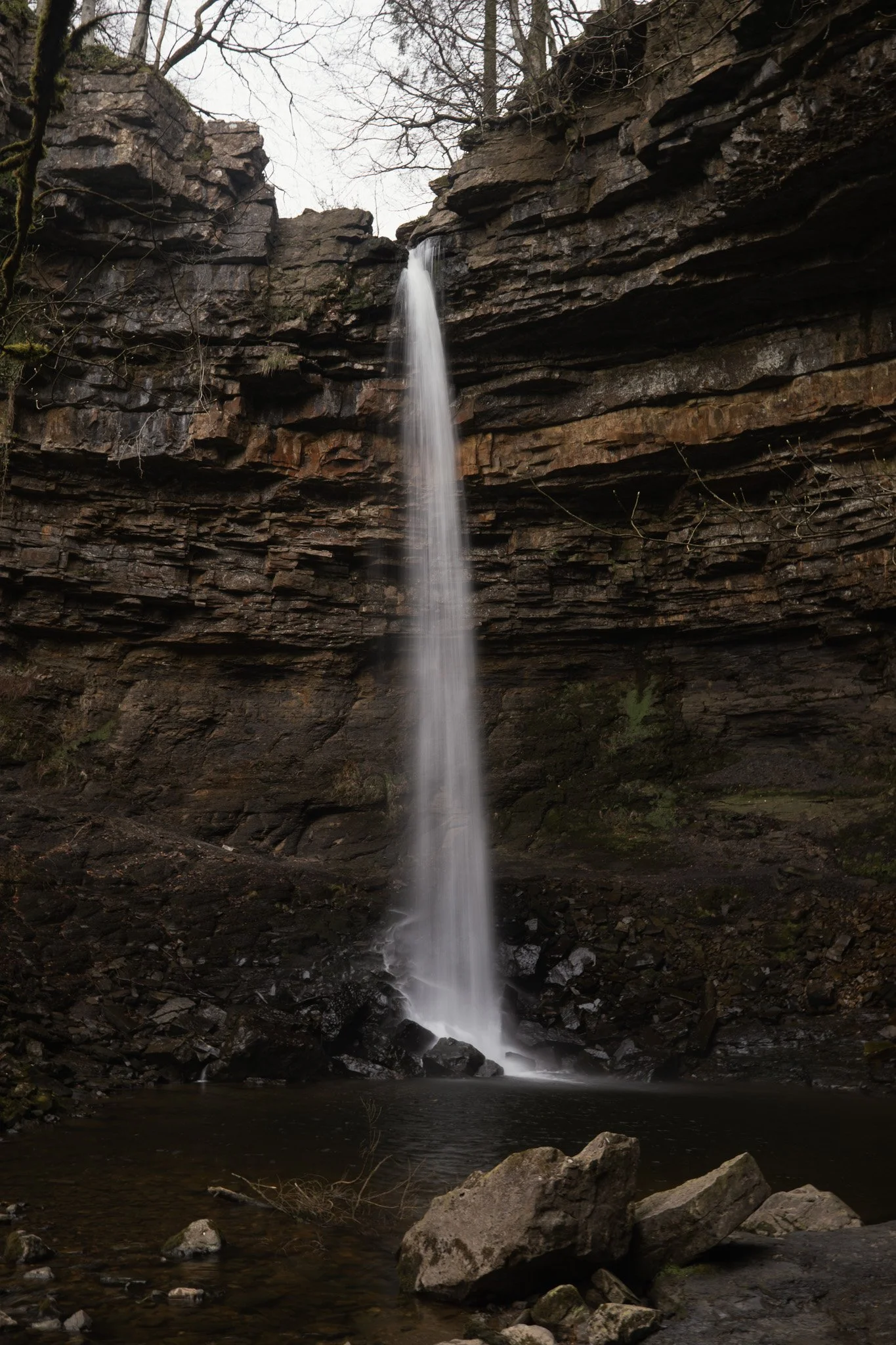 DSCF5439.jpg