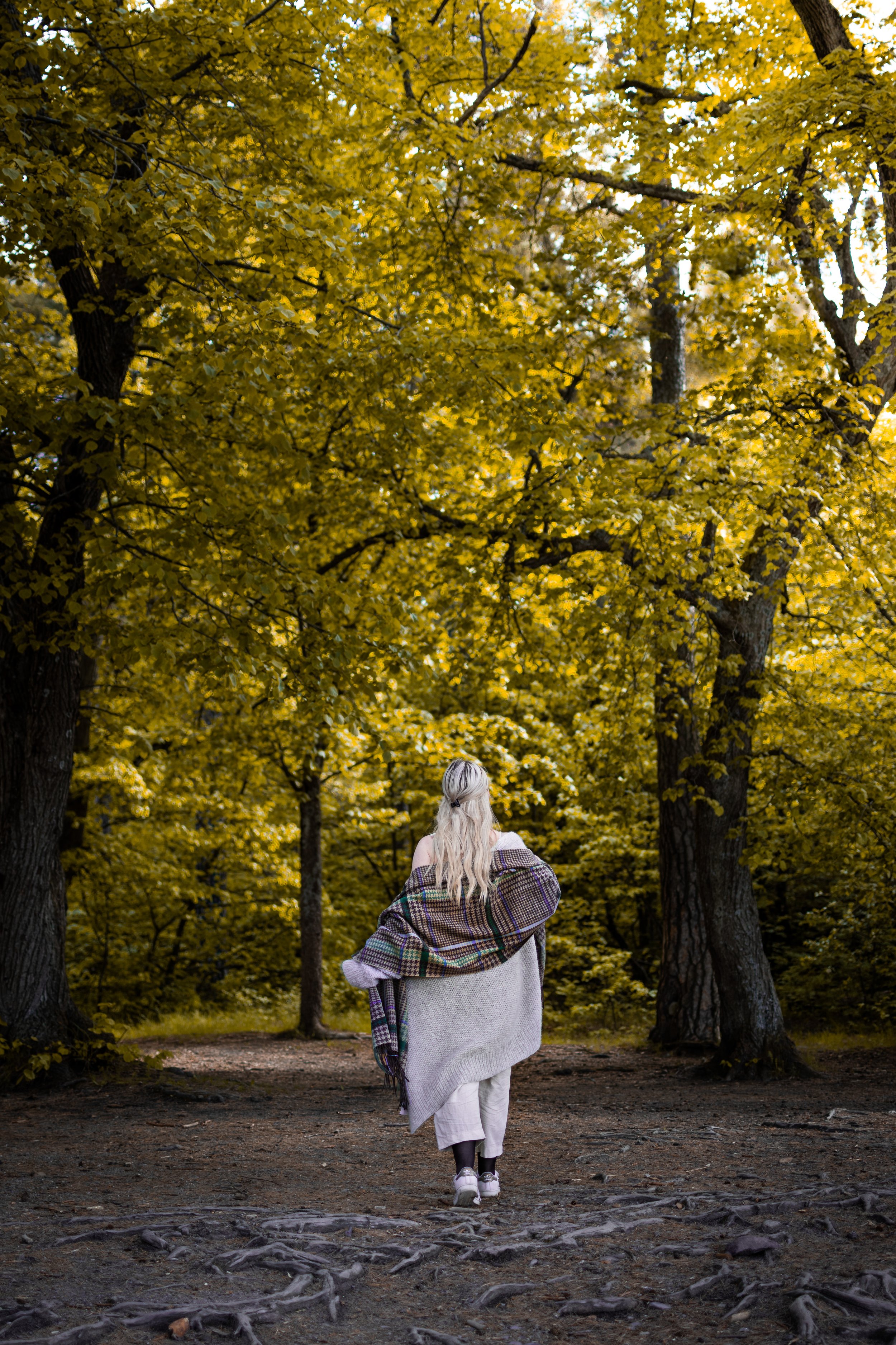 Morild Fokus 2 (1 of 4).jpg