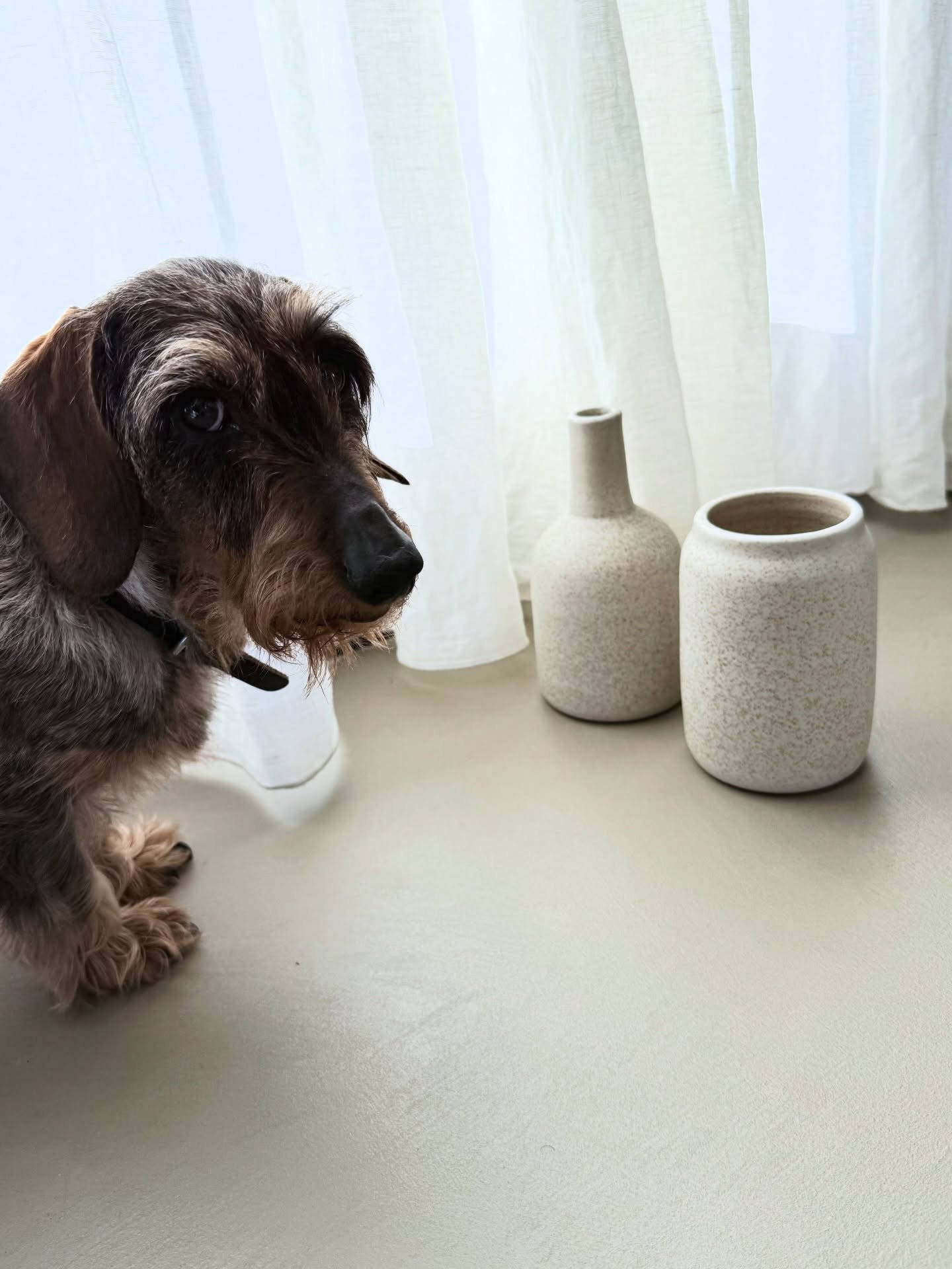 Ooh la la - it&rsquo;s here! 
Feel free to slide through and shop around.

We&rsquo;ve made a special selection of one-of-a-kind samples and pieces from our last collection.

Please note: 
1. Items can be shipped or picked up at the studio by appoint